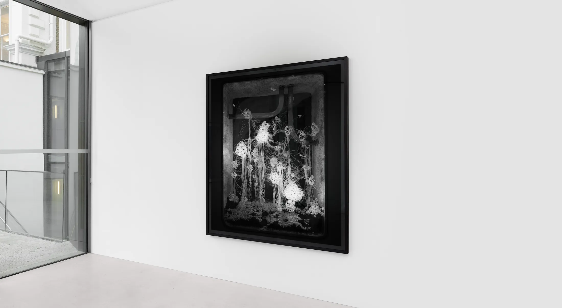 Preview of exhibition named "Symplasma: Experiment — Imperfections"