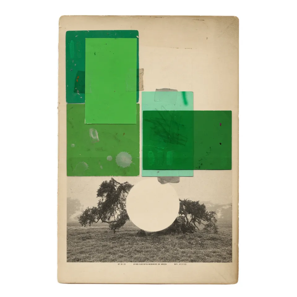 07 01 22 DYING ELM WITH MEMORIES OF SPRING NFT- 21(1/1E), 2022. Gary Edward Blum [objkt](https://objkt.com/asset/KT1BFvN41xNVPYkWFHcQGioqzMoGCNMqzdp8/5)