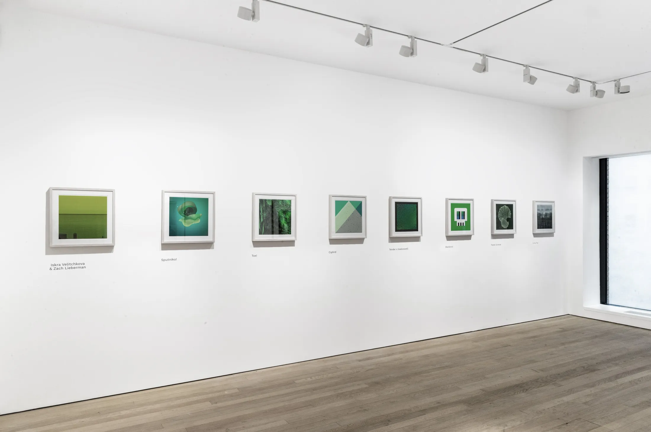 Preview of exhibition named "The Green Collection"