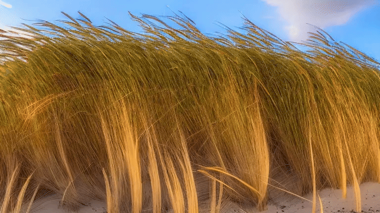 Simulated Horizons is a series of AI-generated landscapes focused on atmosphere, scale, and detail. The images feel loosely connected to real environments but are not tied to specific locations. Each scene is built from features that show up across different kinds of natural spaces, including plains, forests, wetlands, cliffs, underwater areas, and open sky.
The work reflects a long history of landscape art without trying to imitate any one style. Classic painting, digital imagery from the early 2000s, and modern machine learning all sit in the background of how these scenes form. The images feel straightforward at first, yet they carry a quiet sense of tension because they come from a process that does not rely on direct observation. They present nature as something assembled rather than witnessed.
Simulated Horizons looks at how AI treats the idea of a landscape. The series focuses on the shapes, colors, and moods that continue to appear when nature is rebuilt through data. It shows familiar terrain produced through unfamiliar means, which gives the work a clear but slightly altered presence.