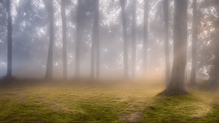 Simulated Horizons is a series of AI-generated landscapes focused on atmosphere, scale, and detail. The images feel loosely connected to real environments but are not tied to specific locations. Each scene is built from features that show up across different kinds of natural spaces, including plains, forests, wetlands, cliffs, underwater areas, and open sky.
The work reflects a long history of landscape art without trying to imitate any one style. Classic painting, digital imagery from the early 2000s, and modern machine learning all sit in the background of how these scenes form. The images feel straightforward at first, yet they carry a quiet sense of tension because they come from a process that does not rely on direct observation. They present nature as something assembled rather than witnessed.
Simulated Horizons looks at how AI treats the idea of a landscape. The series focuses on the shapes, colors, and moods that continue to appear when nature is rebuilt through data. It shows familiar terrain produced through unfamiliar means, which gives the work a clear but slightly altered presence.