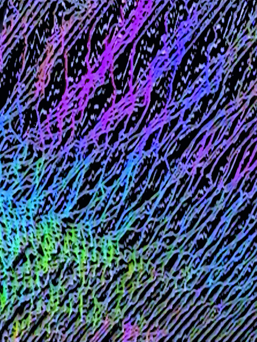 Do an aerobic dance for the web that connects all things. Original VHS glitch art by Sarah Zucker.