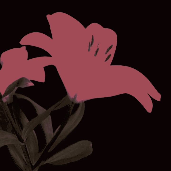 Excerpt from a promotional music video I created for the journal BaroqueEcstasy using a song by their own house band (and one of my musical side-projects). Watch the full video here: youtu.be/jvnDQP5WFXY

Original footage courtesy of mskrzyp: vimeo.com/mskrzyp125