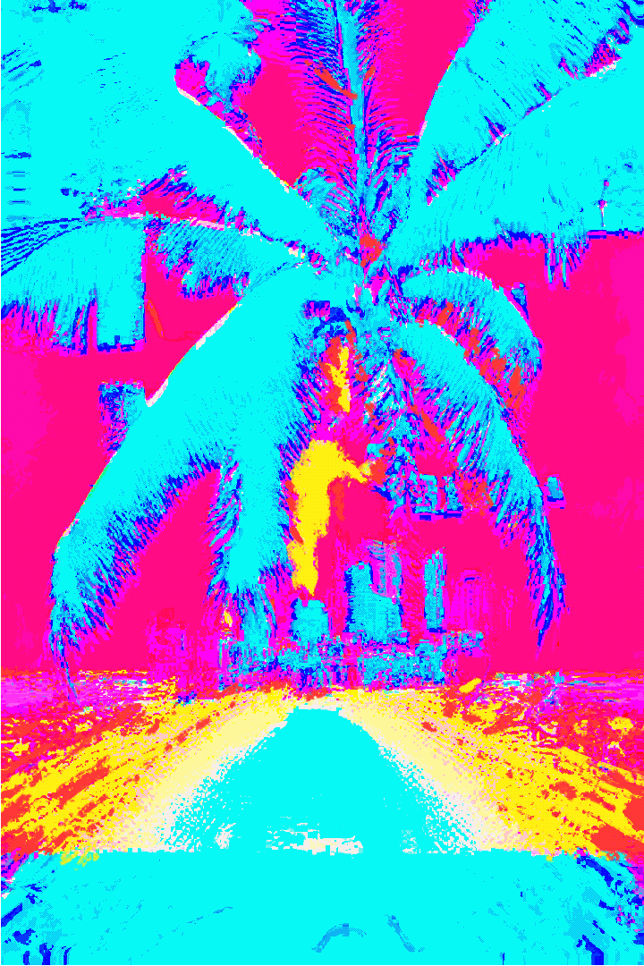 64 FRAME PROCREATE GANIMATION