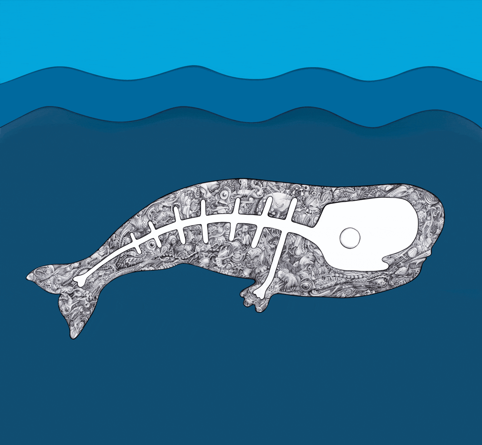 Whales collect you? Now you can collect a whale.