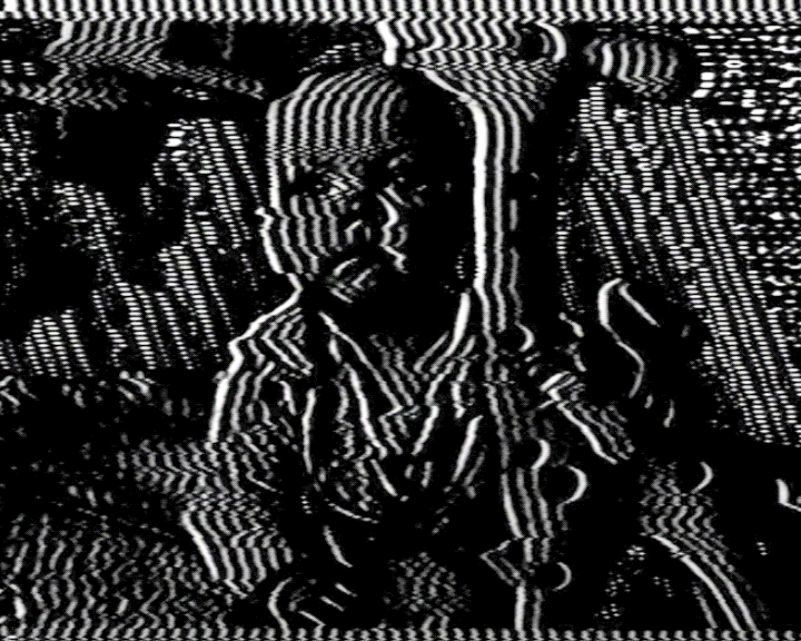 The year 1986 was designated as the International Year of Peace by the United Nations. It was also the year when  Space Shuttle Challenger disaster happens, the Soviet Nuclear reactor at Chernobyl explodes and Danielle Steel publishes her romance novel Wanderlust. 
Year 1986 – the year I was born.
This is analog black and white photography of 5 months old me glitched analog way on modded video processor and VHS.