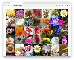 https://internet.flowers