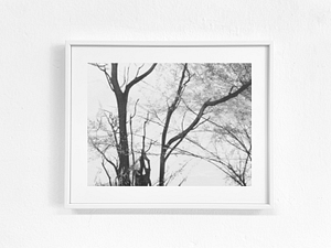 image info