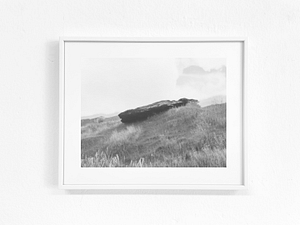 image info