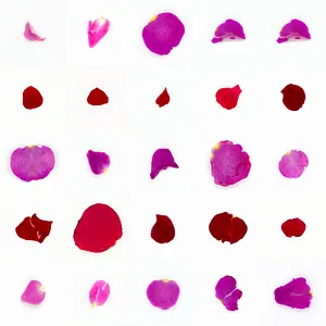 Infinite Petals