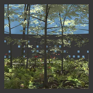 Walled Garden