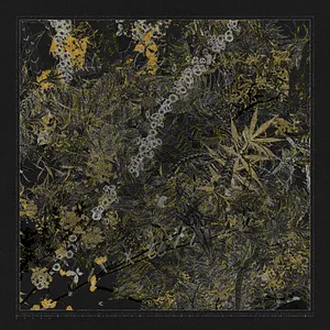 Polypaths |  植徑集