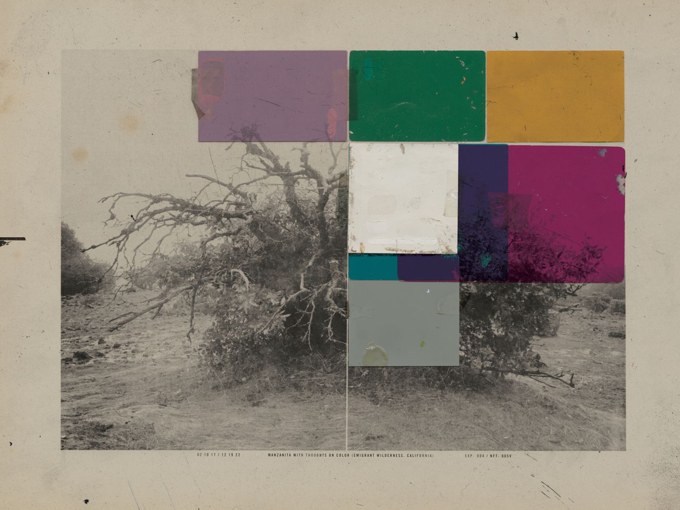 Manzanita With Thoughts On Color by Gary Edward Blum Verse