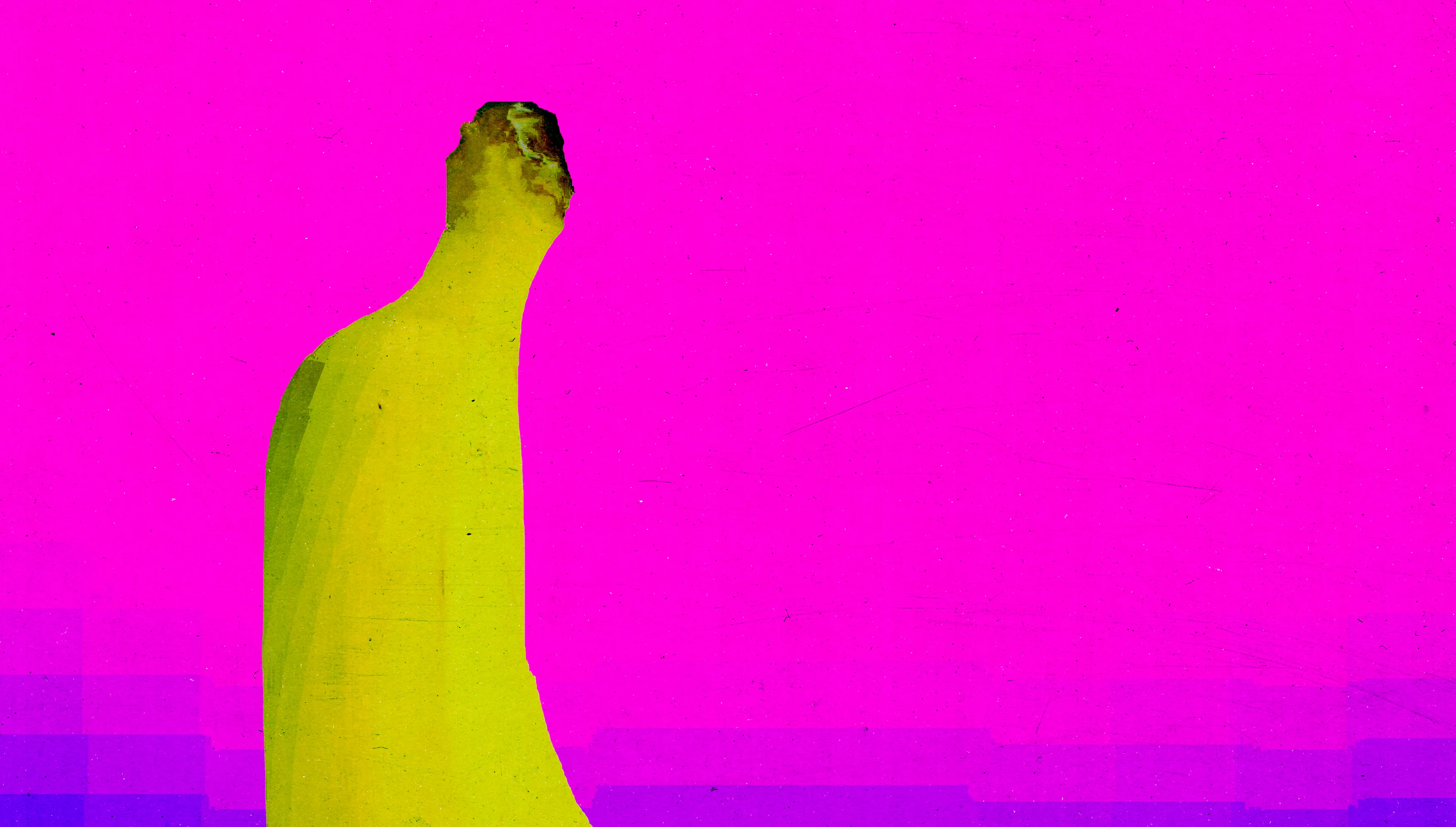 person image