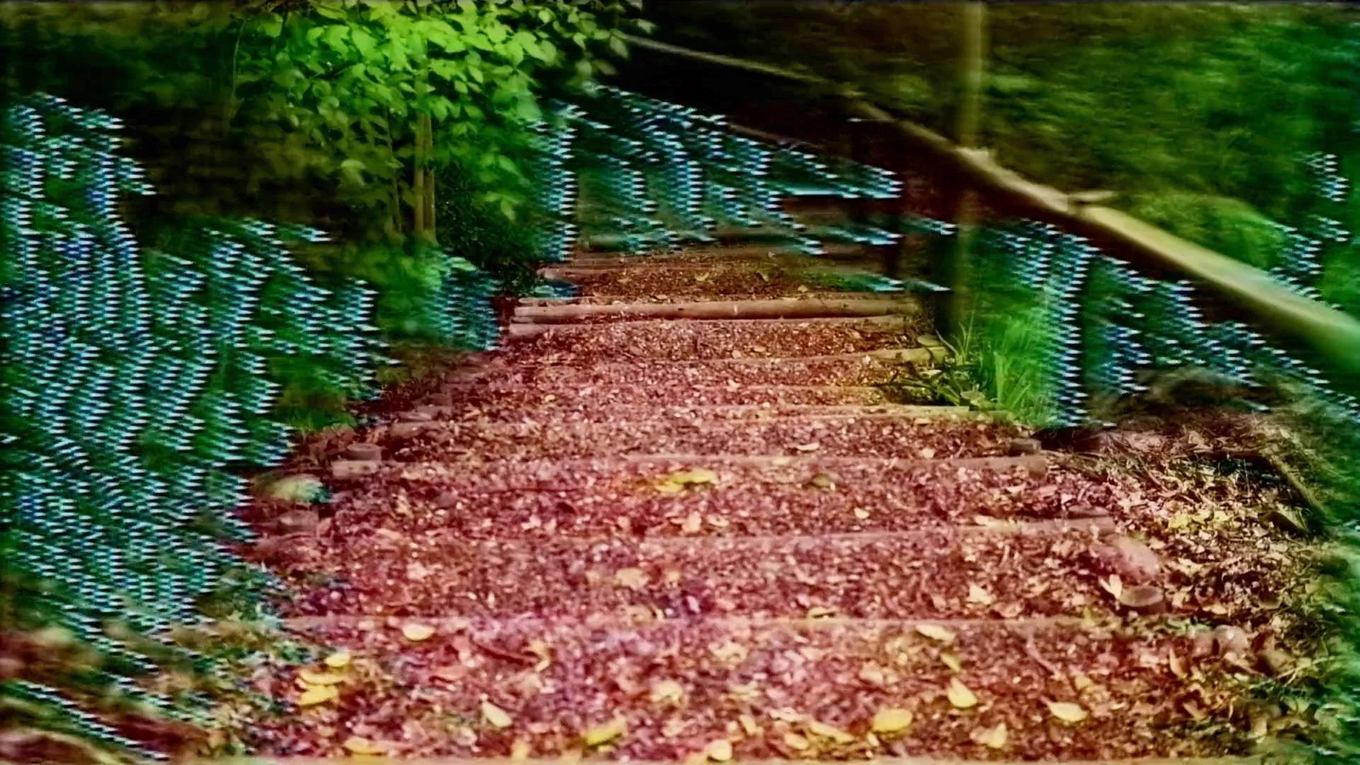 △◒⋄∿△◒⋄∿