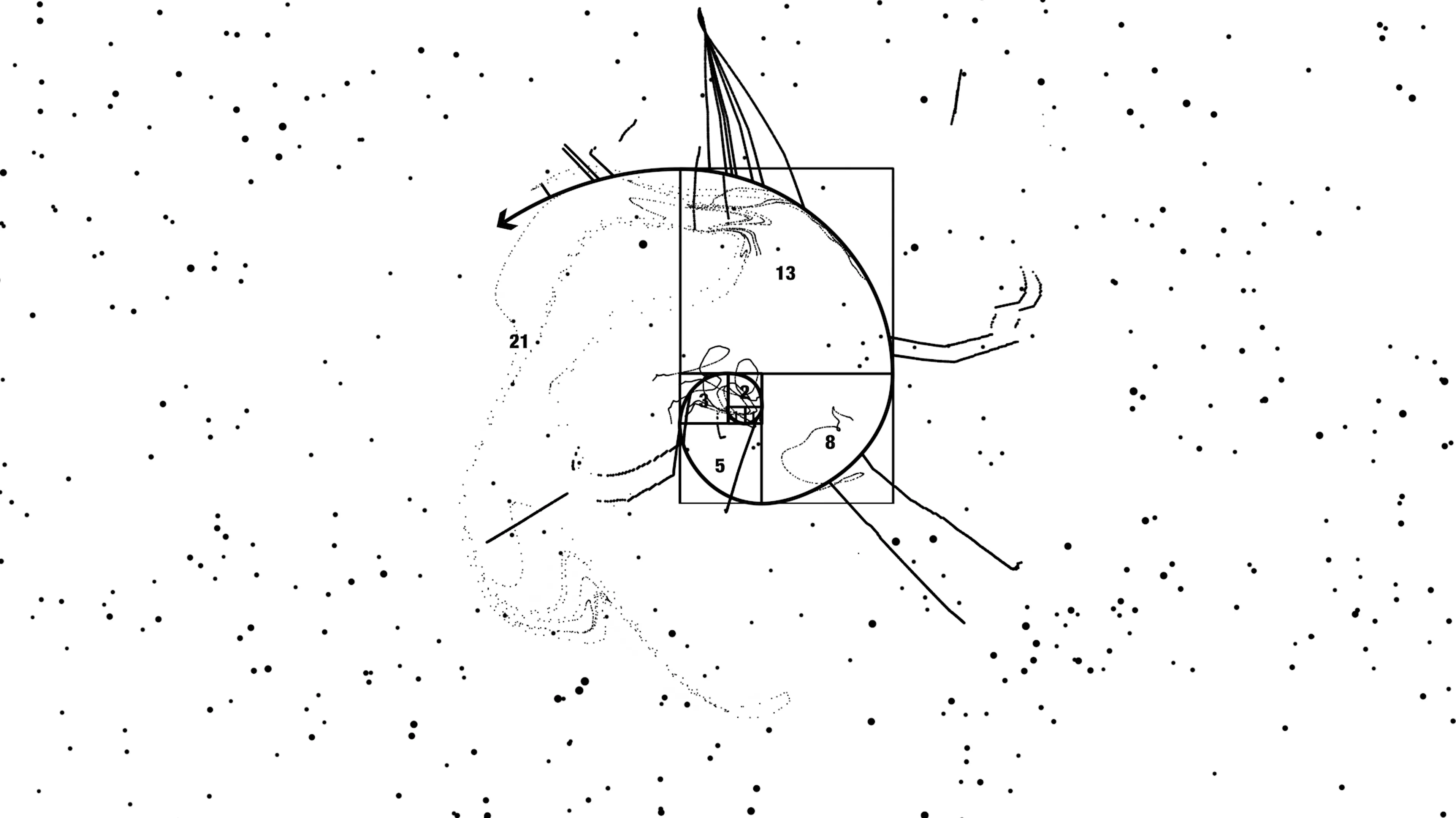 The Swarm: 1.618