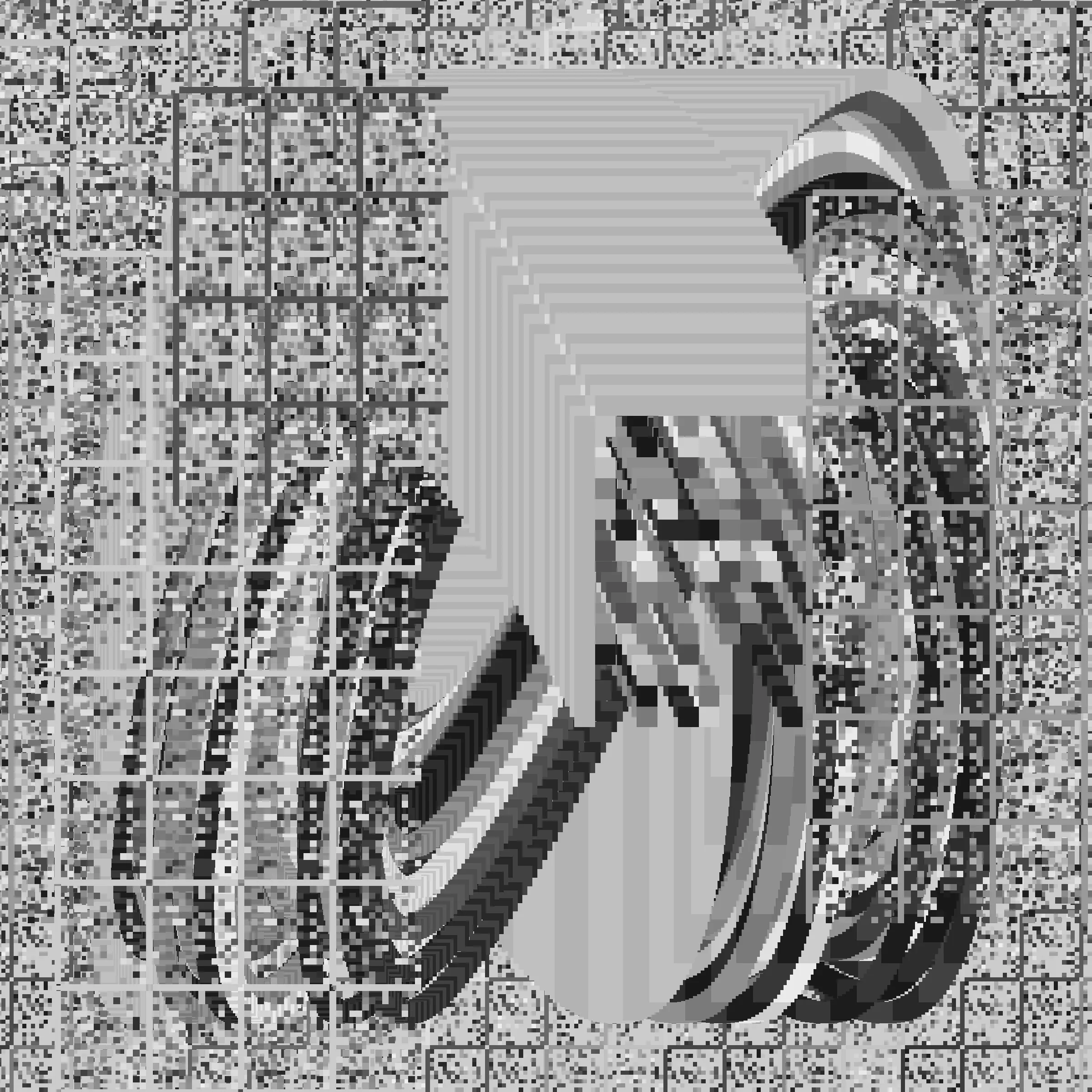 person image