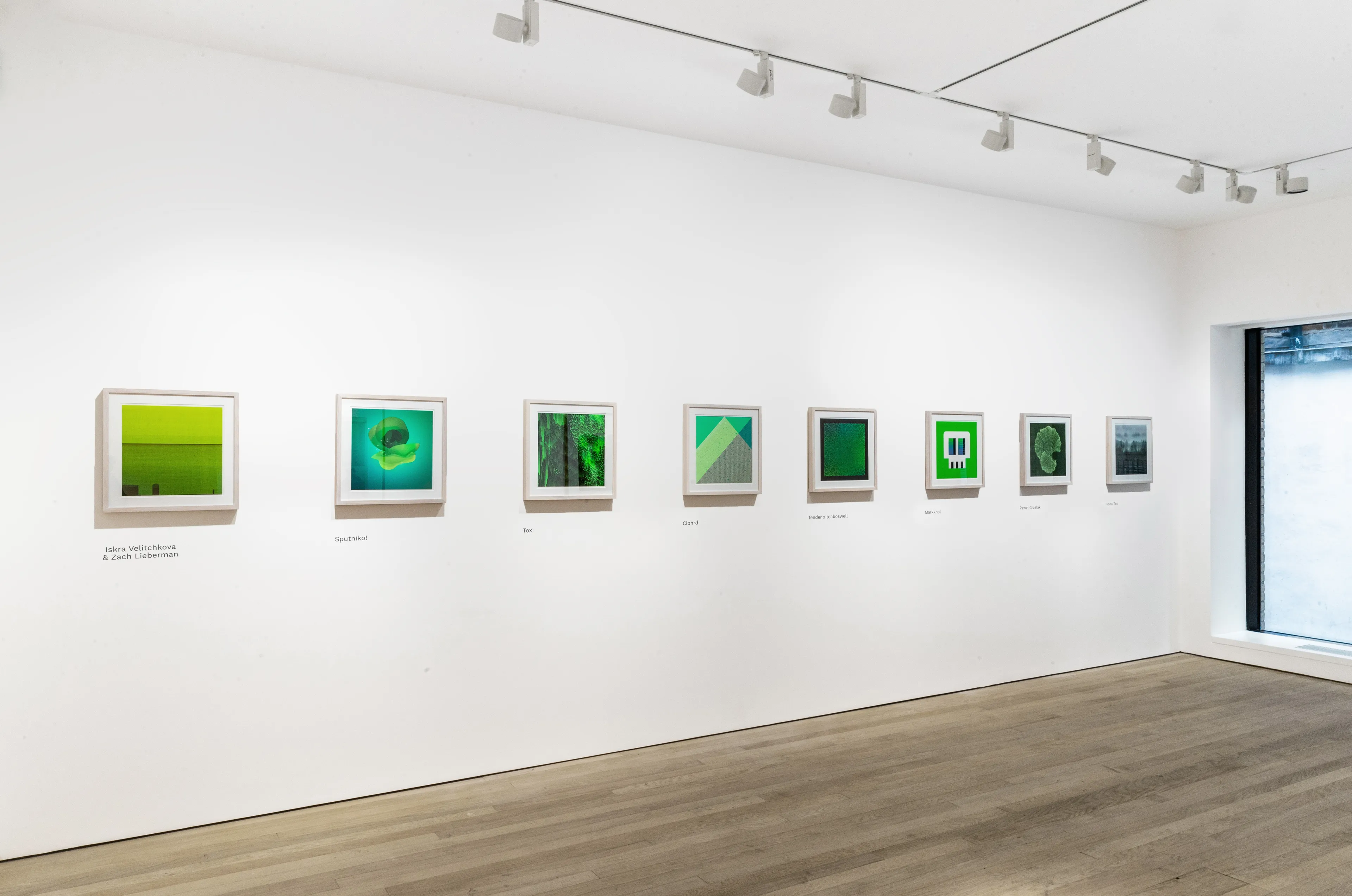 Preview of exhibition named "The Green Collection"