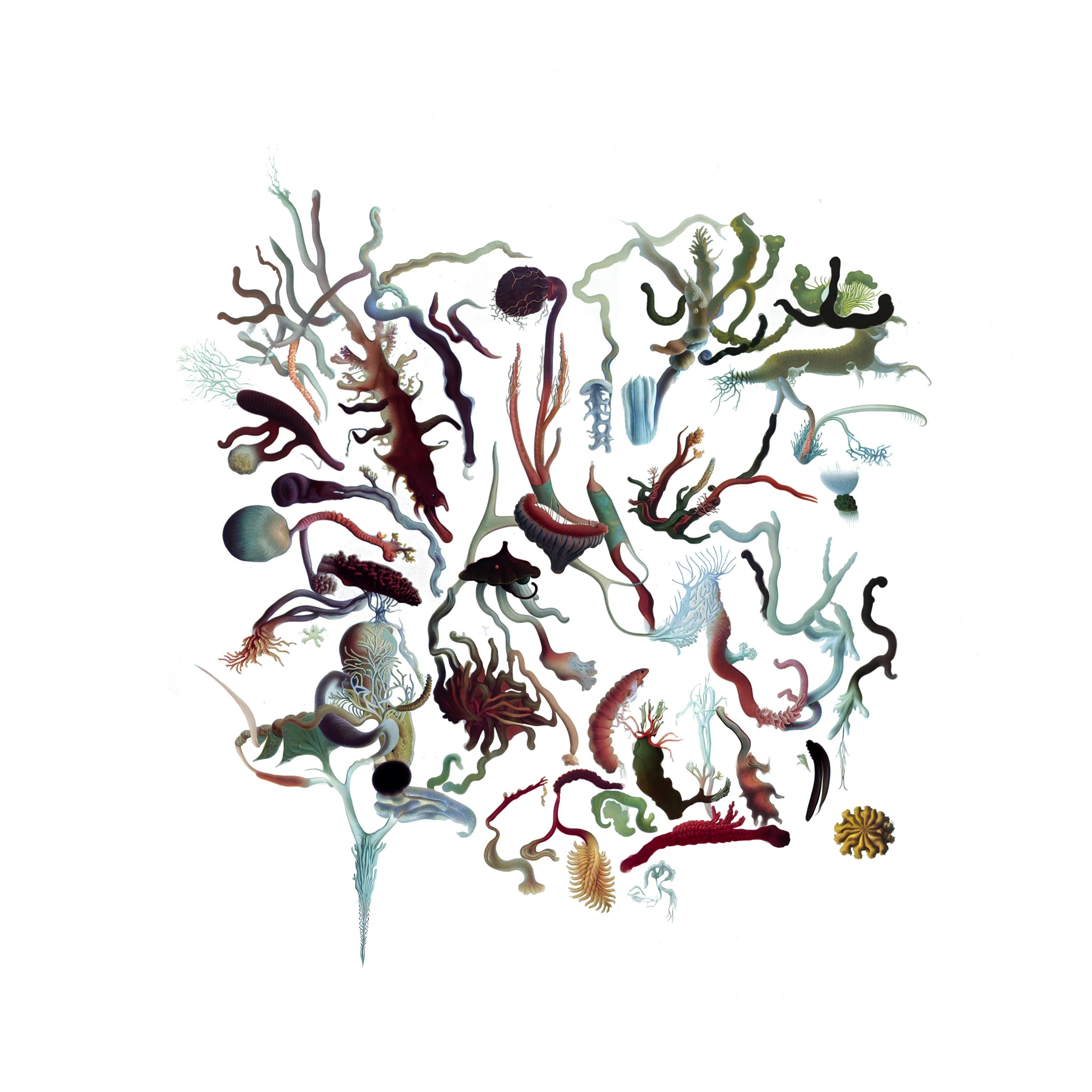 artwork thumbnail