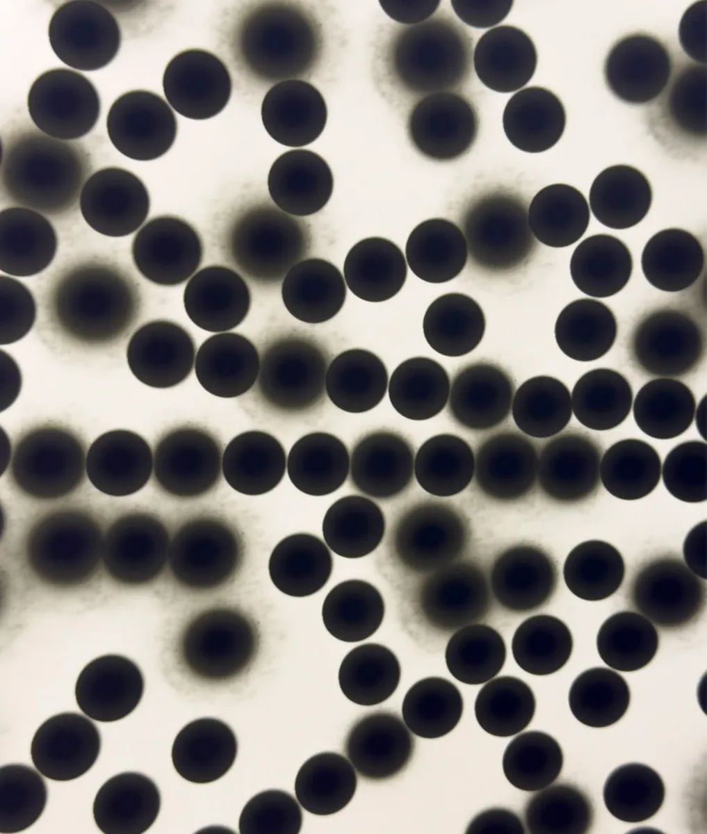 Marcel Schwittlick, Plotter Luminogram. Work in Progress.