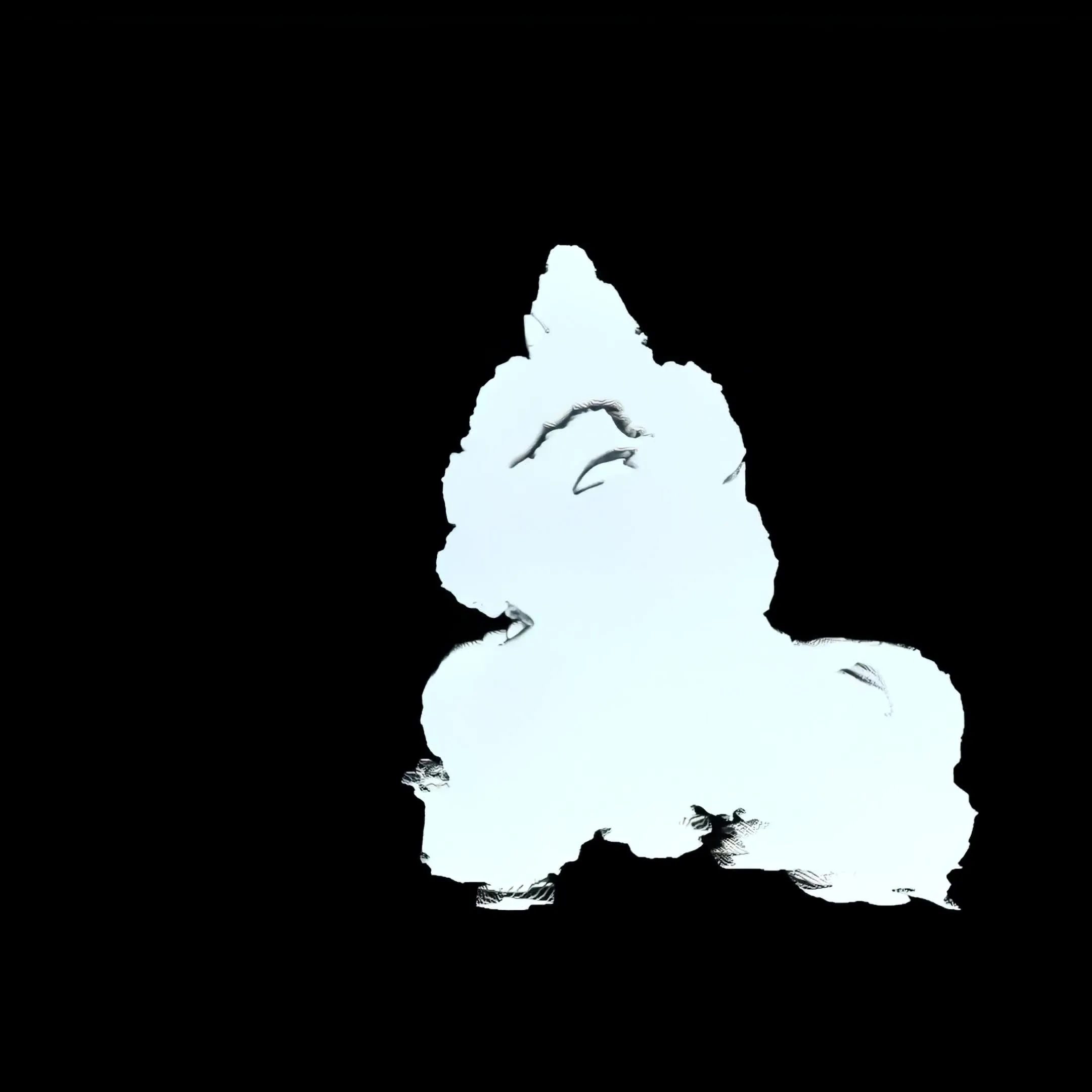 We propose choreographies as a living ecosystem. Spontaneous real-time gestures of the body interact with digital systems, generating powerful visual landscapes. This series is a meditation on connection: between the body and code, between the organic and the artificial, between what we control and what we allow to emerge.