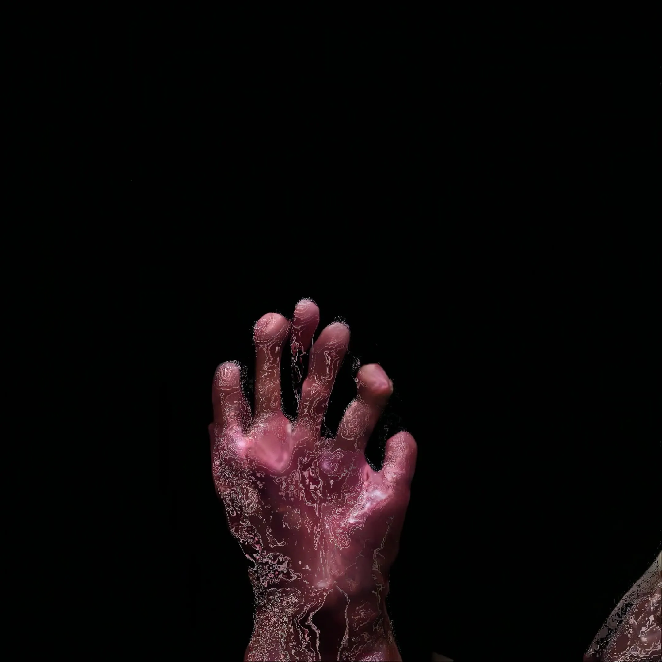 We propose choreographies as a living ecosystem. Spontaneous real-time gestures of the body interact with digital systems, generating powerful visual landscapes. This series is a meditation on connection: between the body and code, between the organic and the artificial, between what we control and what we allow to emerge.