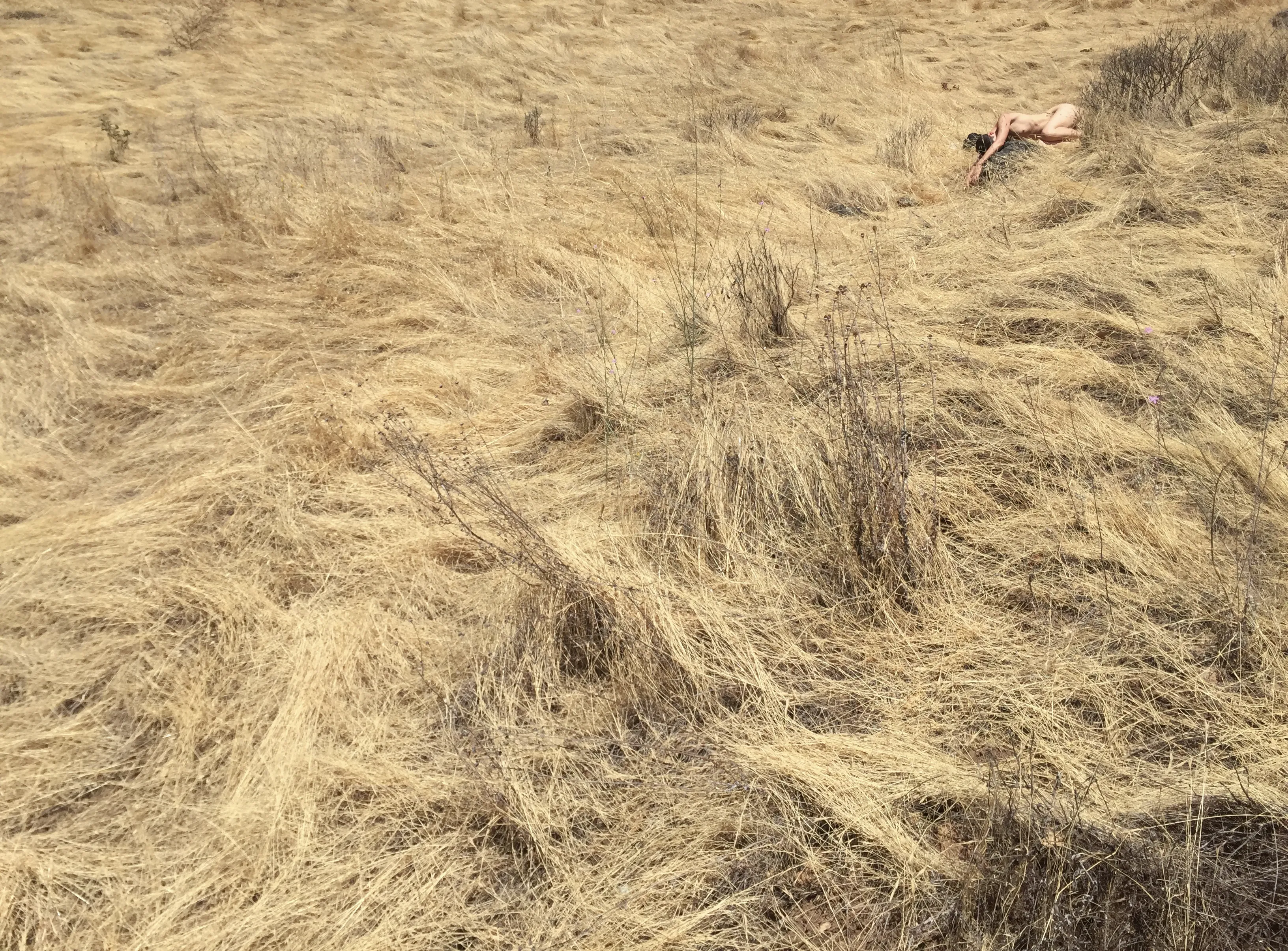Photograph of Ania Catherine taken by Dejha Ti in Calistoga, California in 2017. During that year, Catherine and Ti had just started working on their ongoing feature film A page intentionally left blank, a nonlinear narrative inspired by the hidden lives of surrealist muses.
On a walk, the two spotted a field of grass which had human-like curves and appeared to have been frozen mid-motion. Unamused was created spontaneously as research and experimentation around recontextualizing the female nude figure for the purposes of the film–which include seeing the female nude through the eyes of a woman, through the subject’s own eyes, and in situations in which the full spectrum of the “muse” as a human–and oftentimes artist–is recognized.
The title hints at how muses might feel about always being known for inspiring others instead of for their own artistic talents: unamused.