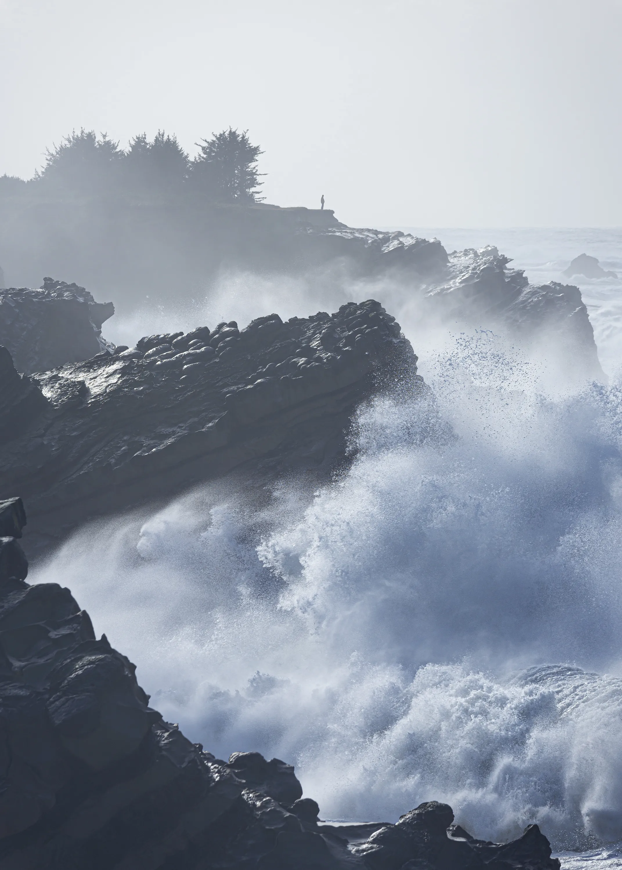 A lone person confidently stands their ground amongst the chaos of crashing waves at Shore Acres State Park, Oregon.

In January of 2020 the Oregon Coast experienced an extremely high surf event. While I have witnessed high surf before, the swell height of 28-35 feet is on the extreme side. I took my son down to Shore Acres State Park near Coos Bay so that he, too, could witness the intense power and fury of the ocean.

Shore Acres is well known for its massive crashing waves. Compression resulting from the collision of the Pacific Oceanic Plate with the western edge of North America forces the rock to angle steeply to the east, creating a rugged set of cliffs just offshore that rise out of the surf to create the shoreline. When combined with high surf swells, the result is thunderous crashes that dramatically send waves hundreds of feet into the air, a raw display of the immense power of nature. Add to that the surrounding geology and the interesting weathering of the rock and it has become one of my favorite places to visit on the coast no matter the conditions.

Like many of our natural areas, high surf advisories at Shore Acres have become quite the draw to nature lovers and photographers. Watching the waves becomes addicting, always waiting for the next big one that will be bigger than the last big one, which was the biggest of them all. The thunderous boom and explosion of water is invigorating, especially for those who venture closer to the wave action, with the water and spray raining down onto the viewing area. It’s quite rare to find a place that puts you so close to the action yet keeps you safe. This is one of the major draws of Shore Acres State Park: the intensity and adventure without the danger.

The main attraction is the rock shelf to the north of the main observation deck. This is where “THE” wave happens. If there’s ever an image that you’ve seen of Shore Acres it’s likely been of that specific rock shelf and a crashing wave. However, the rest of the shoreline offers up a variety of cliffs all interacting with the high surf, and in my opinion, offering up a more dynamic scene with waves crashing their way into the numerous coves. While I have hundreds of images from other days where I, too, had pointed towards the north, on this day the way the midday light backlit the mist and crashing waves when pointed to the south was hard to tear myself away from. I got lost in my viewfinder with these waves and this scene, huddled under my umbrella behind a parapet to shield myself from the deluge of crashing waves and ocean mist.

Nature has always offered me inspiration, perspective, solace, and reprieve and I often find metaphors for life in my photos. This photo is yet another example of that for me. It gives me hope that I can confidently stand amongst the crashing waves of life and come out clean on the other side. It’s these moments in nature that I am drawn to the most.. the moments and scenes that touch me in an introspective way, and it’s those moments that I try to capture in a bottle.