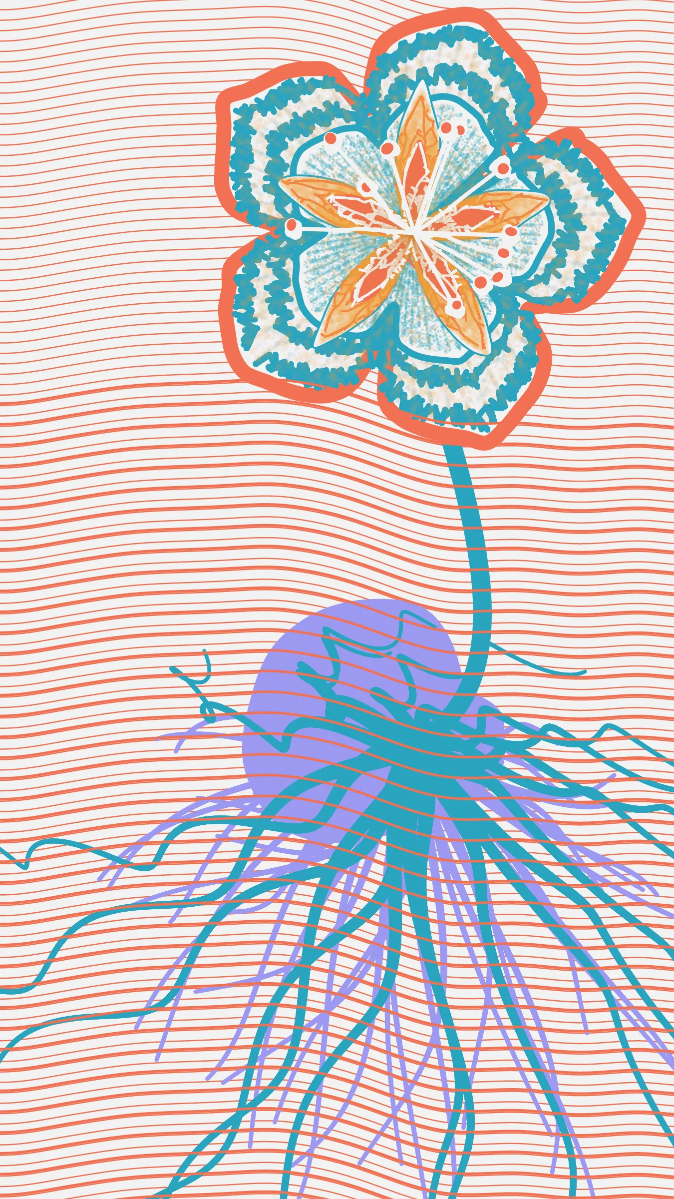 Underwater is a collection of 100 generative illustrations. The project portrays seven hypothetical species. Left to grow in the underground aquifer of Mexico City, these species are conceived as fictive descendants of ancient Mexican plants.  
The abstract aesthetic of the drawings is inspired by the pre-naturalist illustrations of medieval herbaria, especially the Libellus de Medicinalibus Indorum Herbis. To recreate the beauty of these early scientific illustrations through code, the superformula was combined with space colonization algorithms to generate tepal-like forms with characteristic patterns. 
The flowers that inspired this collection of generative plants are: *Dahlia coccinea*, *Chirahodendron pentadactylon*, *Magnolia dealbata*, *Tigridia pavonia*, *Helianthus armus* and *Sprekelia formosissima*.