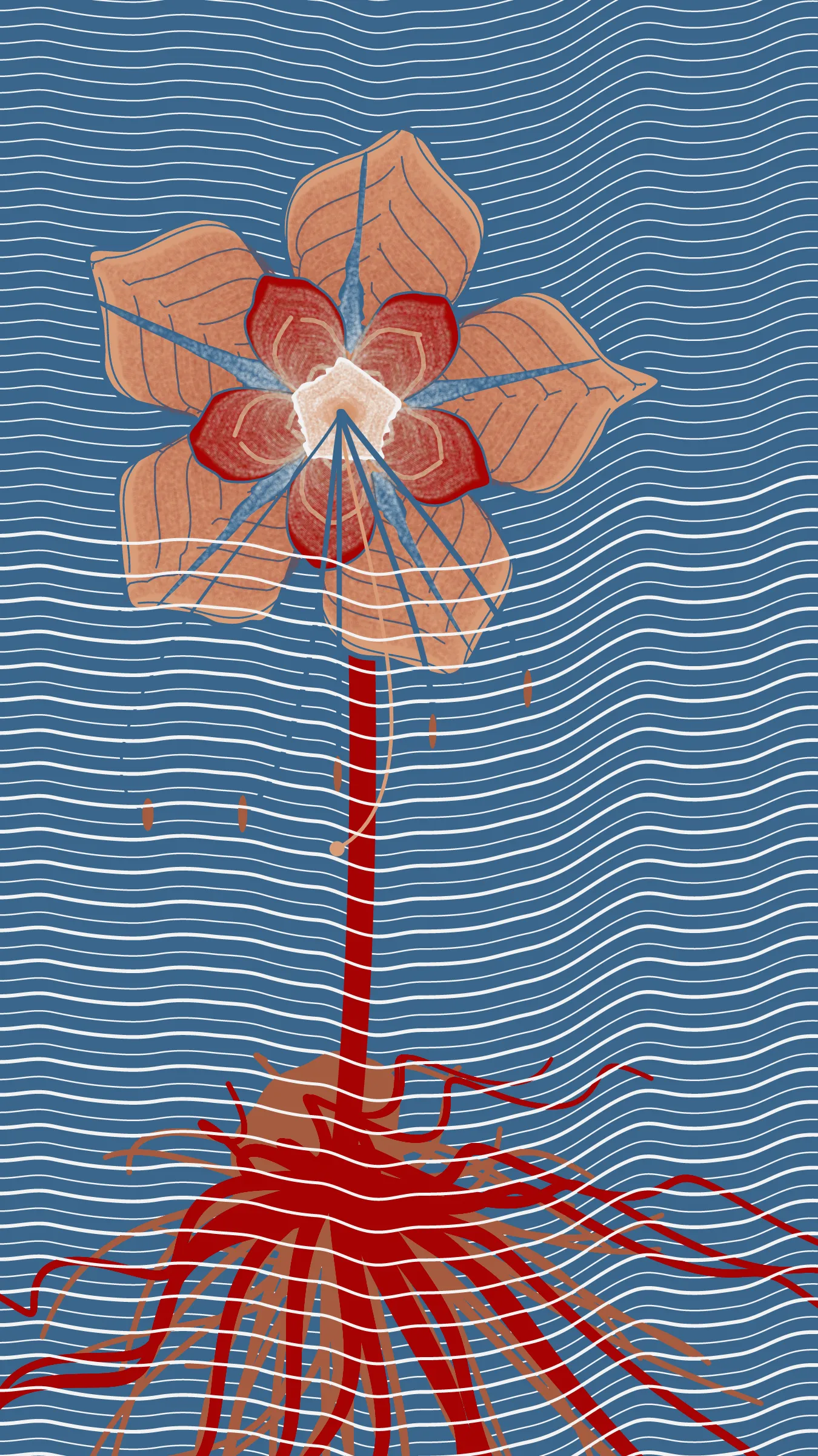 Underwater is a collection of 100 generative illustrations. The project portrays seven hypothetical species. Left to grow in the underground aquifer of Mexico City, these species are conceived as fictive descendants of ancient Mexican plants.  
The abstract aesthetic of the drawings is inspired by the pre-naturalist illustrations of medieval herbaria, especially the Libellus de Medicinalibus Indorum Herbis. To recreate the beauty of these early scientific illustrations through code, the superformula was combined with space colonization algorithms to generate tepal-like forms with characteristic patterns. 
The flowers that inspired this collection of generative plants are: *Dahlia coccinea*, *Chirahodendron pentadactylon*, *Magnolia dealbata*, *Tigridia pavonia*, *Helianthus armus* and *Sprekelia formosissima*.