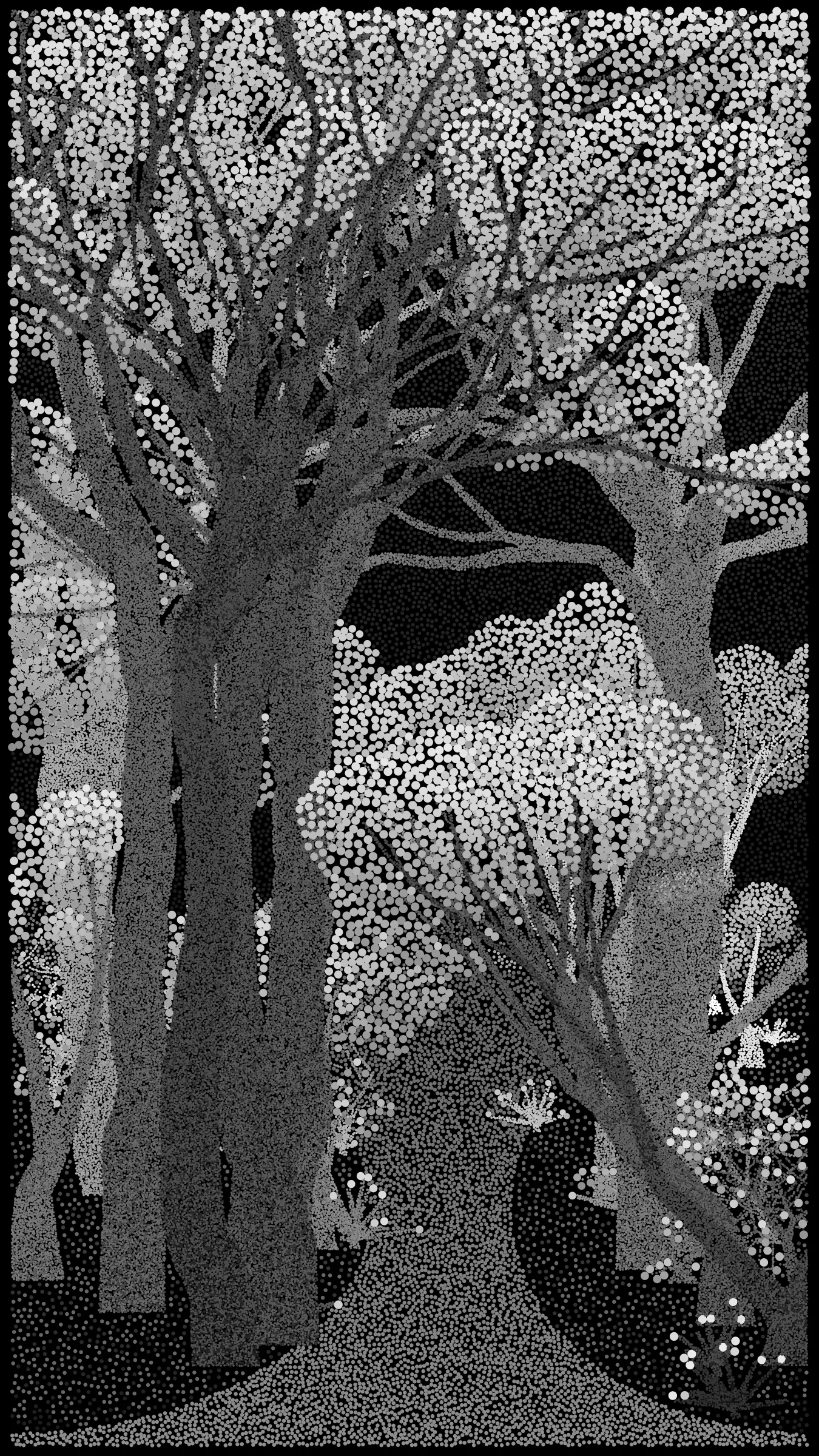 # NFT ART CDMX

## Something beautiful
Bosque de Chapultepec is all about how computers can be used as a form of expression. It explores how a generative art algorithm can be used to make something beautiful that is unique to a particular place and time. Bosque de Chapultepec debuted at NFT ART CDMX in 2022, a four day celebration of generative art in Mexico City.
## Central Park of Mexico
Chapultepec is a park in the middle of Mexico City that is known all over the world for its green space. It is a historic place dating back to the Toltec culture in 1000 CE and has also been the site of many battles. Artists have been drawn to the park for a long time. My grandfather, for example, painted the scenery there. Even now, the park is a tropical escape for city dwellers who walk the park's many winding paths surrounded by old trees.
## Chochitos
The look of the project was based on the Garibaldi from El Globo, a famous bakery in the Mexican Republic. Garibaldi pastries are pound cakes dipped in apricot jam and coated with little round sprinkles called "chochitos". A visit to CDMX is not complete without tasting one of these delicious pastries.
## Behind the code:
The algorithm is made up of a system that uses a mix of circle-packing and quadtrees to fill areas of closed shapes with dots of different sizes and colors (like the chochitos). The underlying form of the composition is generated algorithmically using shapes constructed on the fly using points and lines. The shapes are lined up in a queue and then swept for possible areas where dots can be deposited so long as the dots do not overlap.  
# An SVG is available! 
The SVG is a fully scalable resolution agnostic version of the image. To access the SVG - View the output in **Live View**. When the output has *completed rendering*, press the "p" key and the SVG will automatically download. * Note rendering time may take up to 5 minutes.