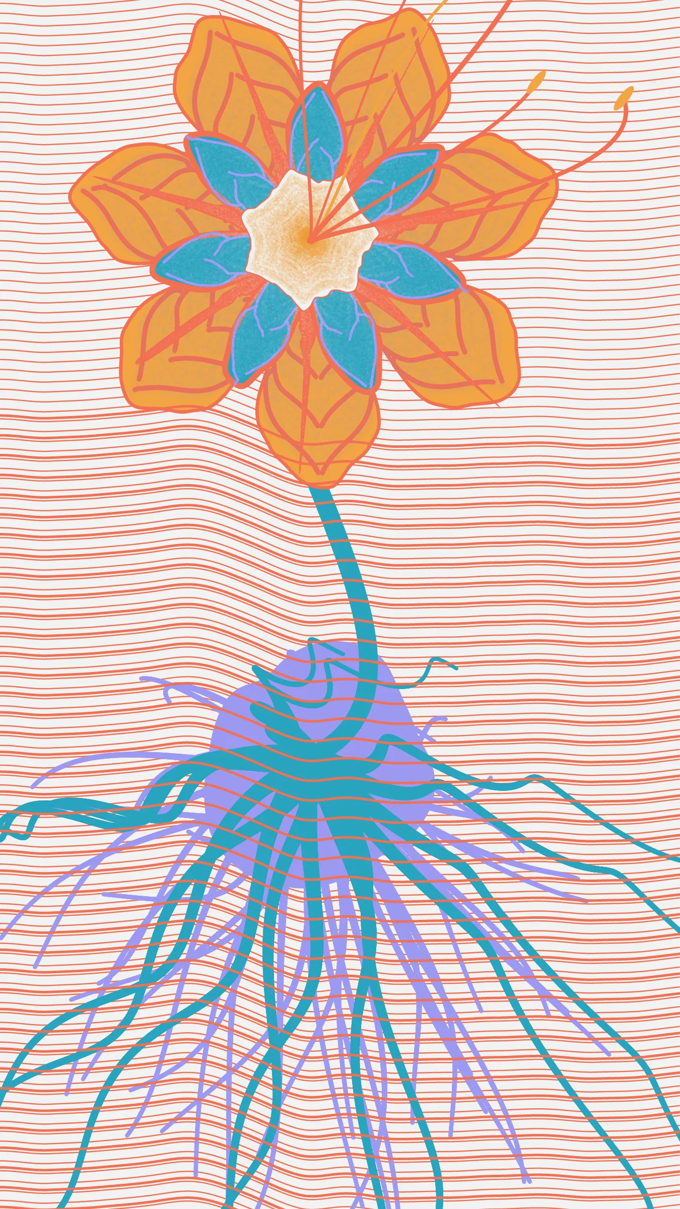 Underwater is a collection of 100 generative illustrations. The project portrays seven hypothetical species. Left to grow in the underground aquifer of Mexico City, these species are conceived as fictive descendants of ancient Mexican plants.  
The abstract aesthetic of the drawings is inspired by the pre-naturalist illustrations of medieval herbaria, especially the Libellus de Medicinalibus Indorum Herbis. To recreate the beauty of these early scientific illustrations through code, the superformula was combined with space colonization algorithms to generate tepal-like forms with characteristic patterns. 
The flowers that inspired this collection of generative plants are: *Dahlia coccinea*, *Chirahodendron pentadactylon*, *Magnolia dealbata*, *Tigridia pavonia*, *Helianthus armus* and *Sprekelia formosissima*.