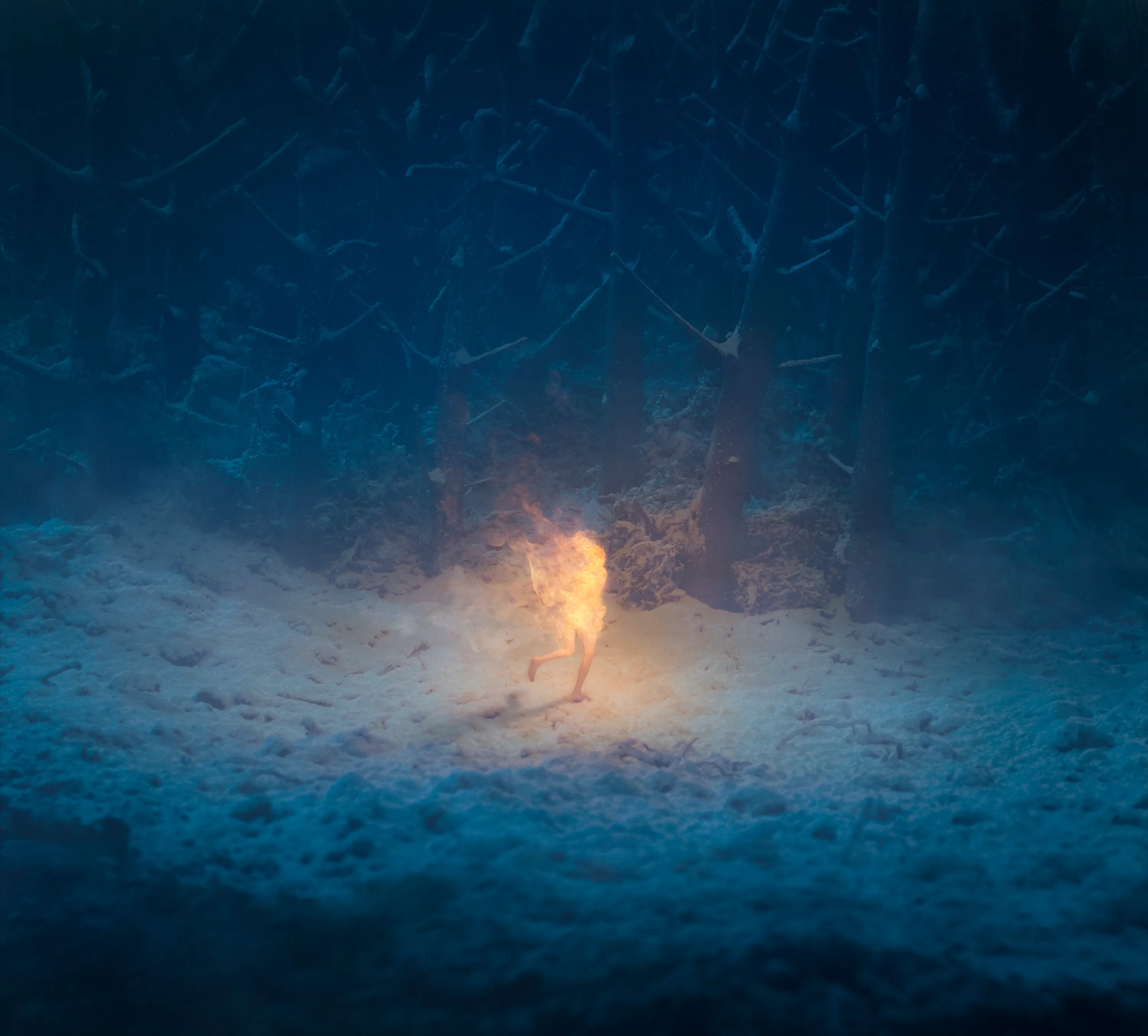 Artist: Random Freaks

On a foggy night a naked man runs on fire through the forest. 

Artwork made using miniature forest. Digitally crafted with Photoshop.

The first collector will get a physical print of the piece.

Edition: 1/1

License: Primary NFT holder is free to use in advertising, display privately and in groups, including virtual galleries, documentaries and essays by holder of the NFT, as long as creator is credited. Provides no rights to create commercial merchandise, commercial distribution, or derivative works.
Copyright remains with creator.