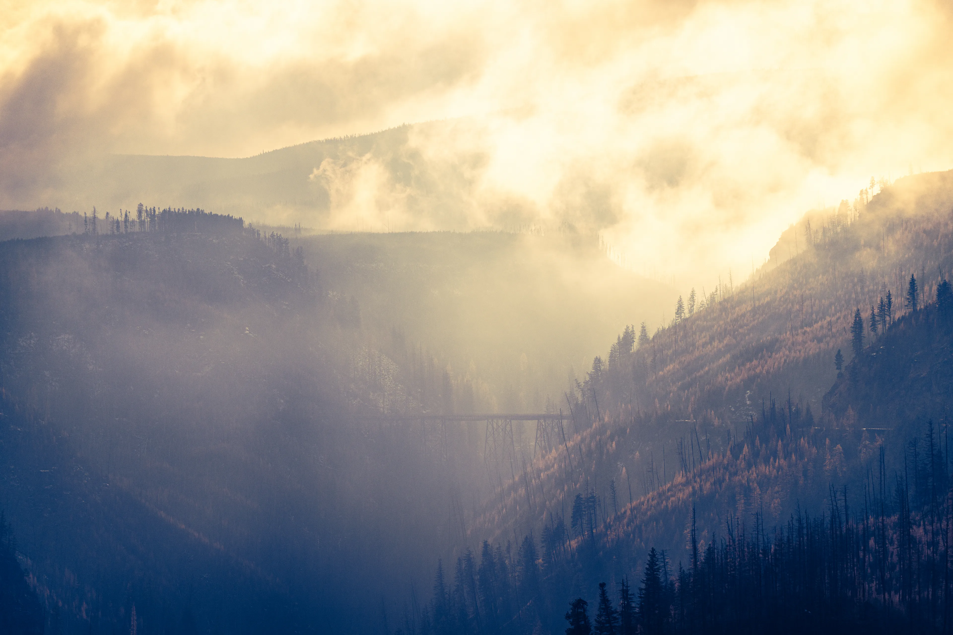 where clouds embrace

a bridge  
half-forgotten in the folds of autumn,  
stretches between fading larches.  
the clouds linger like whispers  
soft, weightless,  
holding the moment  
between earth and sky

photograph taken by awhurst  
edition 1/1