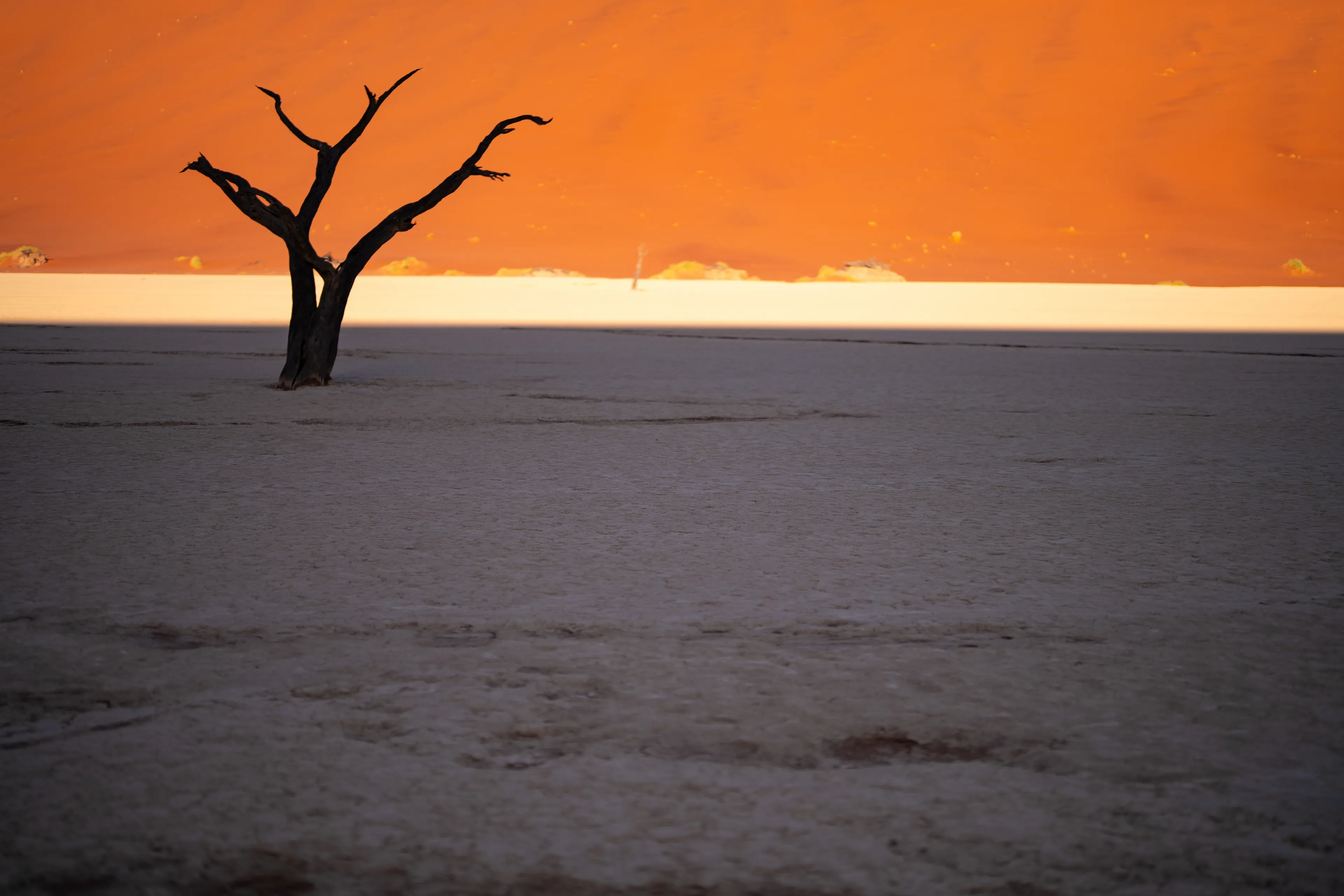 in shadowed silence  
colours bloom, defying dark  
light quickening

Deadvlei 
Namibia 2024  
Photograph taken by awhurst