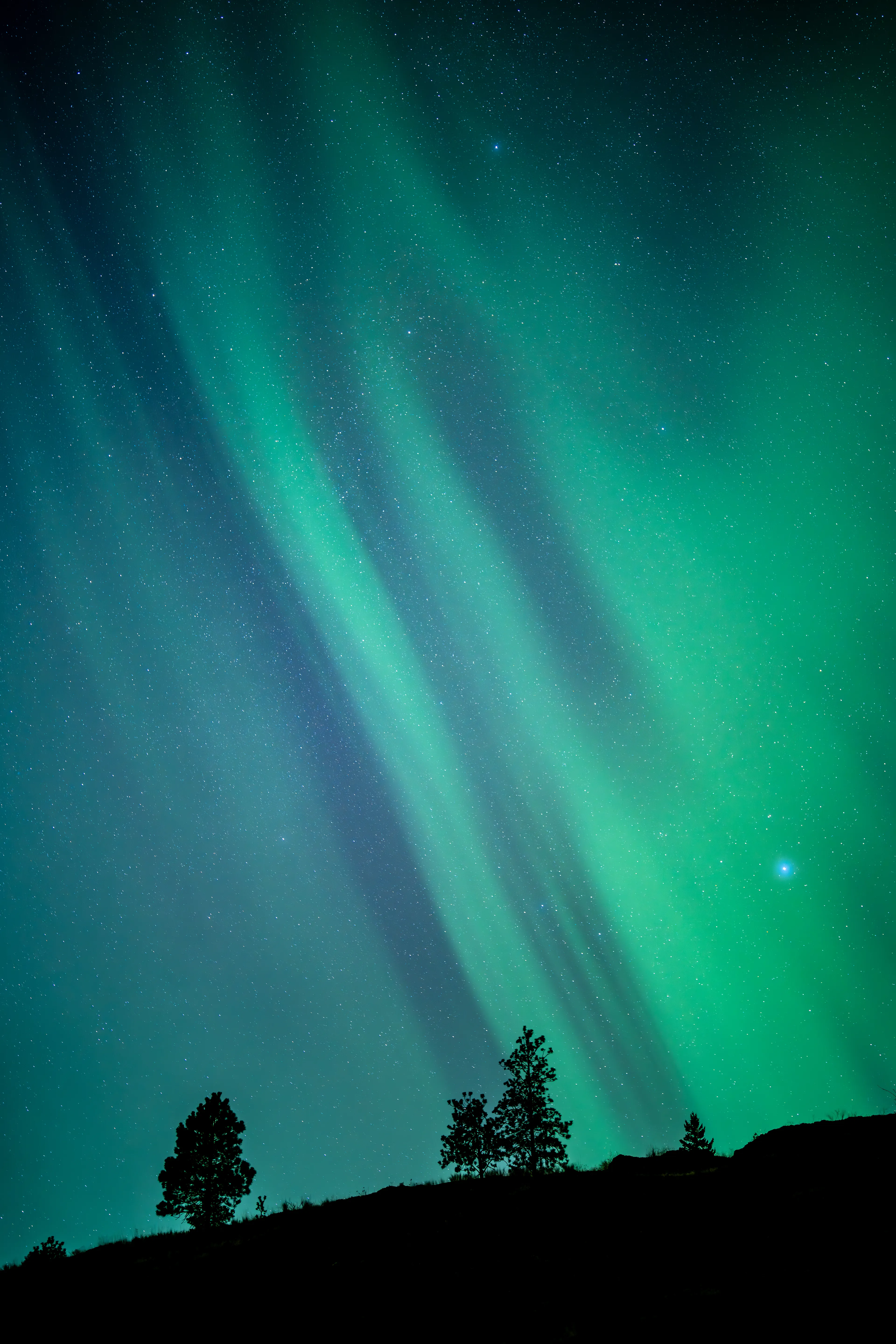 in the stillness, the sky unravels  
silent threads of green and blue  
whispering ancient stories,  
a language woven in light  
for those who listen beyond the stars

photograph taken by awhurst  
single exposure  
edition 1/1