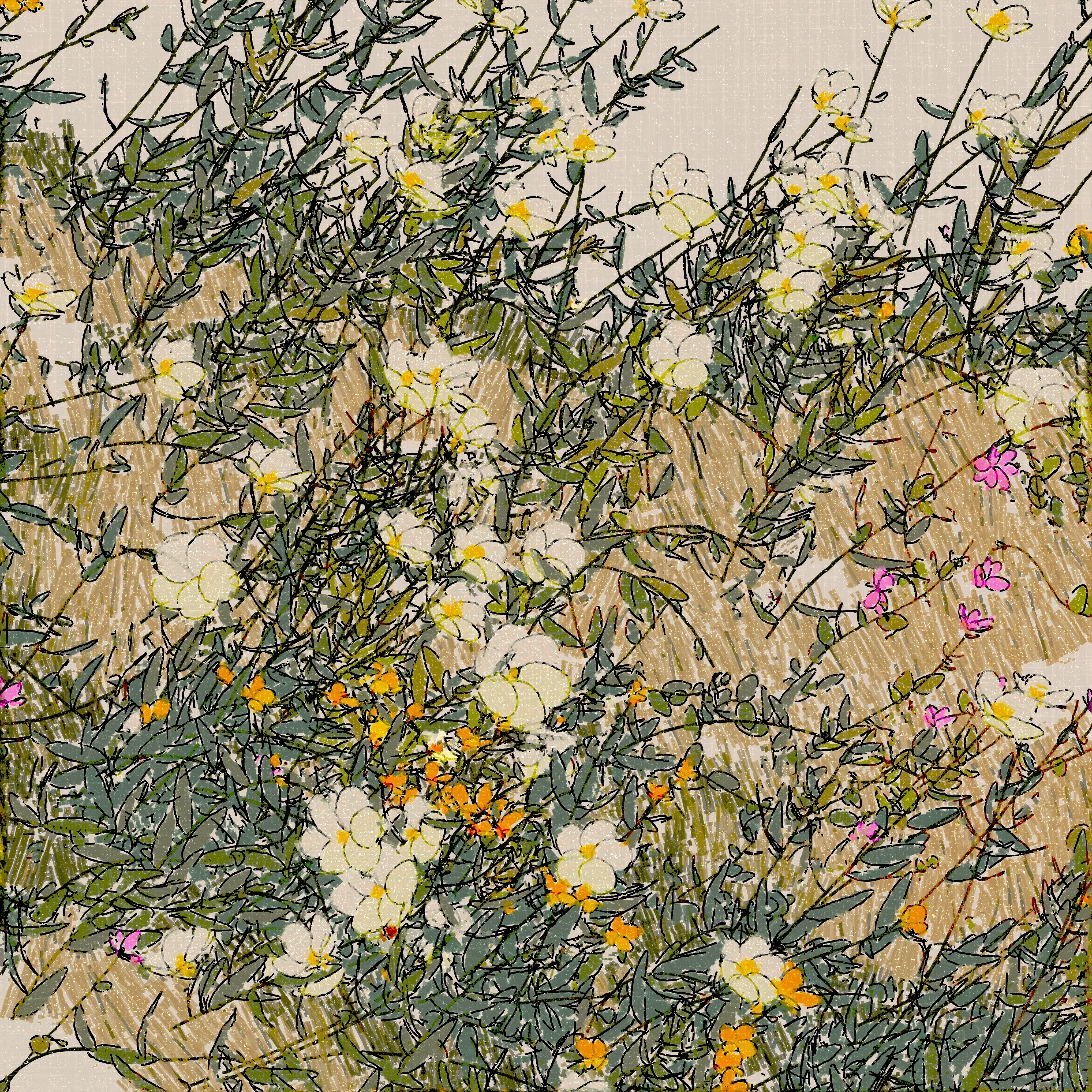 This work was inspired by road trips up and down the California coast last spring. We had an especially wet winter, and the blooms that followed were hard to ignore and hard to forget. From San Diego to Moss Beach, there were tree poppies, California poppies, bush poppies, lupines, cosmos, crown daisies, and Marguerite daisies. Many others too, but these are the ones that stood out to me.