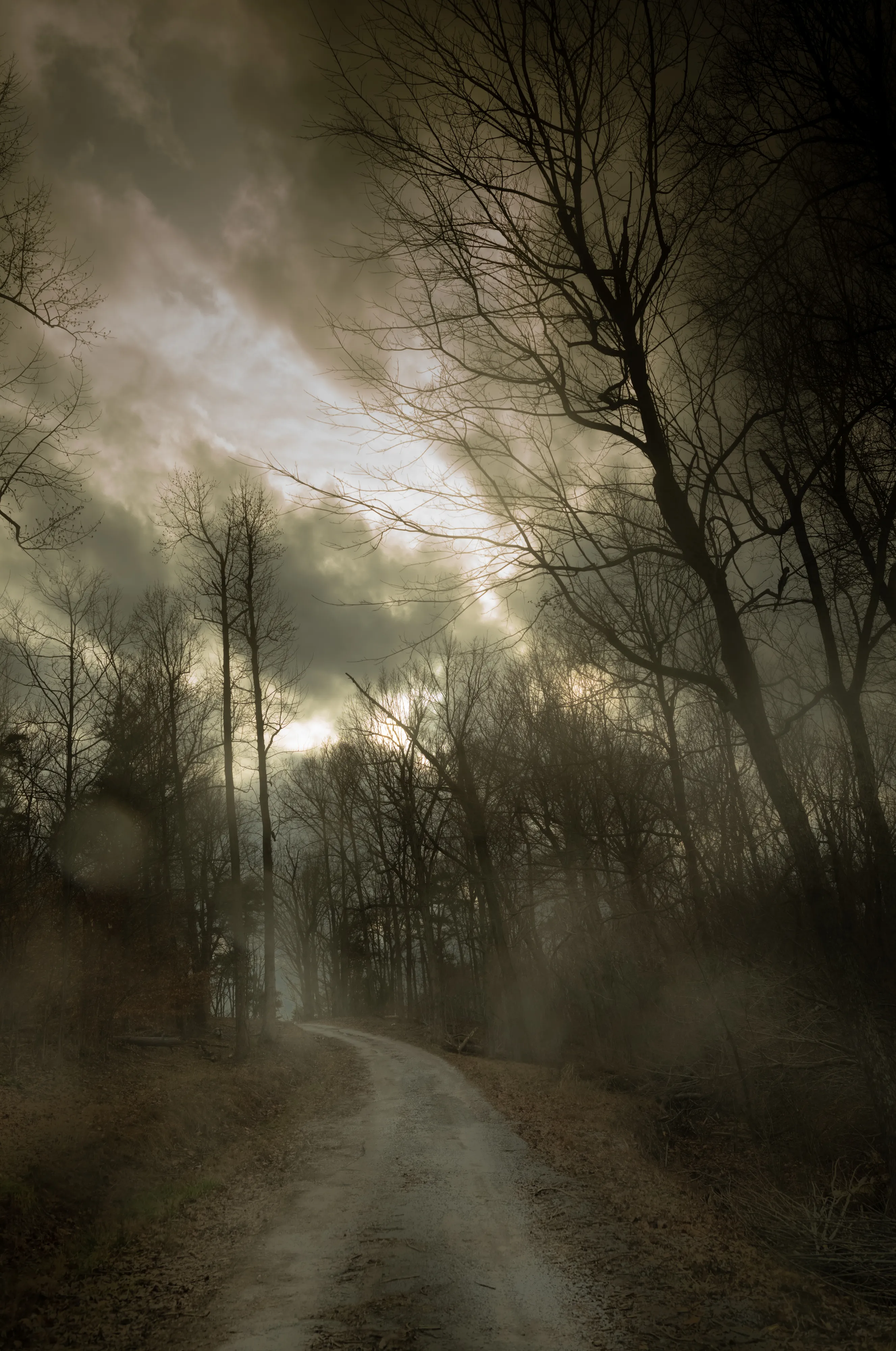 The Black Mechanism #12 (Untitled 12078-1175) by Todd Hido

"This is the gift of the landscape photograph, that the heart finds a place to stand” - Emmet Gowin 

All photographs are unreal. Even though they are a best attempt at a realistic capturing of a space in time, there is so much else that gets pulled into even the most straightforward landscape photo, unique to both the artist and the viewer. A landscape can evoke a personal memory of a certain space, or point toward a historical significance of the place being photographed. Sometimes, it’s just a mood suggested through the way a certain tree branch bends and twists, or an ominous narrative implied by a neglected house. 

With my camera in hand (what Italo Calvino referred to as “the black mechanism”), I have tried to express a subtle disquiet, and suggest an ambient darkness that is as much literal as it is metaphorical. The landscapes show a desolate and dark world, a precipice in time from which one senses we will struggle to emerge. Yet even as these images can be seen to reflect the daily barrage of terrible news, it’s important to remember that each image captures light from within. There is always a ray of light, even a frail one, to illuminate the dark roads, the deep forests, and the icy territories. There is always hope.

Todd Hido


Edition: 1 of 1

Commissioned by Obscura