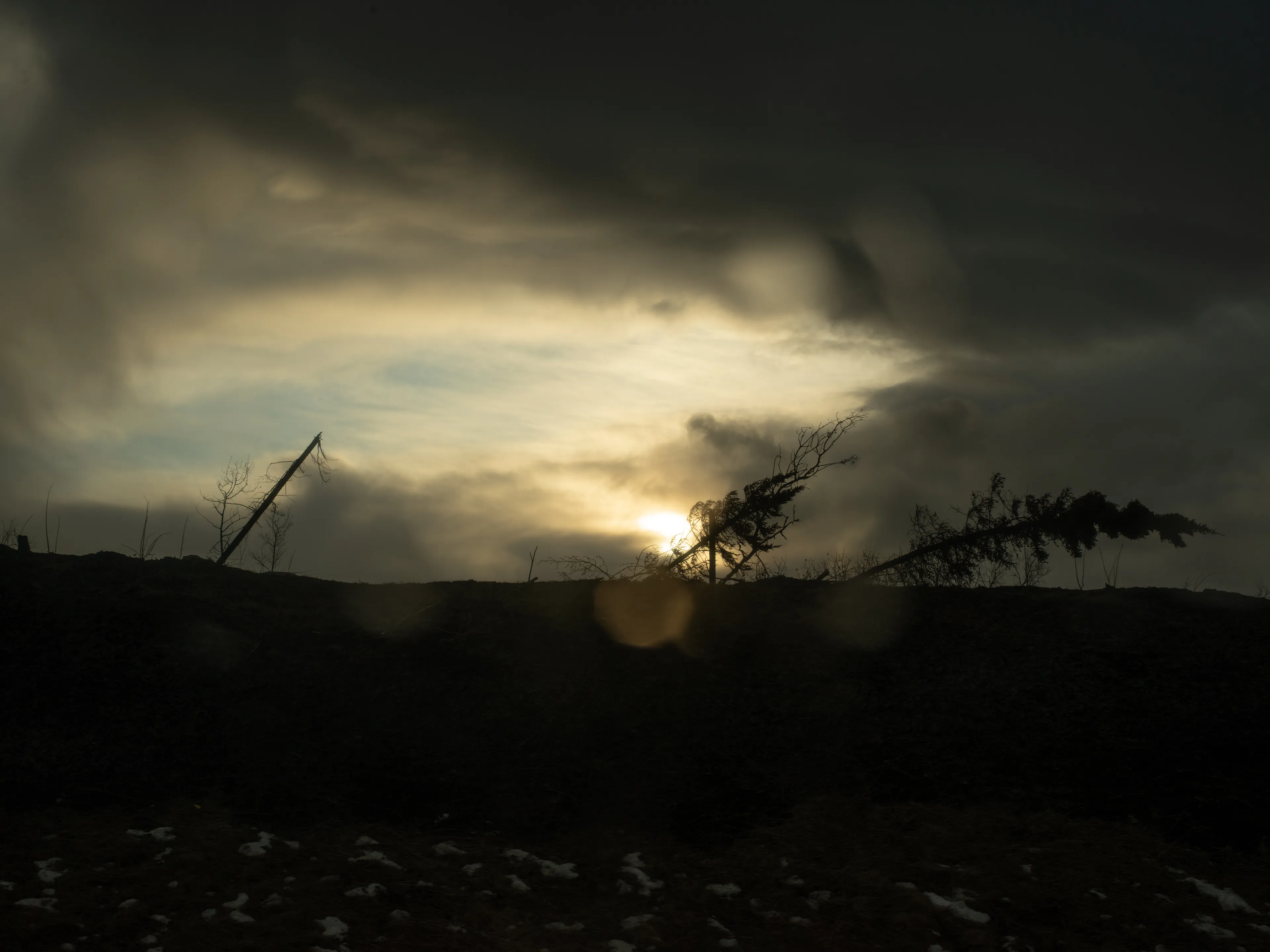 The Black Mechanism #33 (Untitled 11999-6674) by Todd Hido

"This is the gift of the landscape photograph, that the heart finds a place to stand” - Emmet Gowin 

All photographs are unreal. Even though they are a best attempt at a realistic capturing of a space in time, there is so much else that gets pulled into even the most straightforward landscape photo, unique to both the artist and the viewer. A landscape can evoke a personal memory of a certain space, or point toward a historical significance of the place being photographed. Sometimes, it’s just a mood suggested through the way a certain tree branch bends and twists, or an ominous narrative implied by a neglected house. 

With my camera in hand (what Italo Calvino referred to as “the black mechanism”), I have tried to express a subtle disquiet, and suggest an ambient darkness that is as much literal as it is metaphorical. The landscapes show a desolate and dark world, a precipice in time from which one senses we will struggle to emerge. Yet even as these images can be seen to reflect the daily barrage of terrible news, it’s important to remember that each image captures light from within. There is always a ray of light, even a frail one, to illuminate the dark roads, the deep forests, and the icy territories. There is always hope.

Todd Hido


Edition: 1 of 1

Commissioned by Obscura