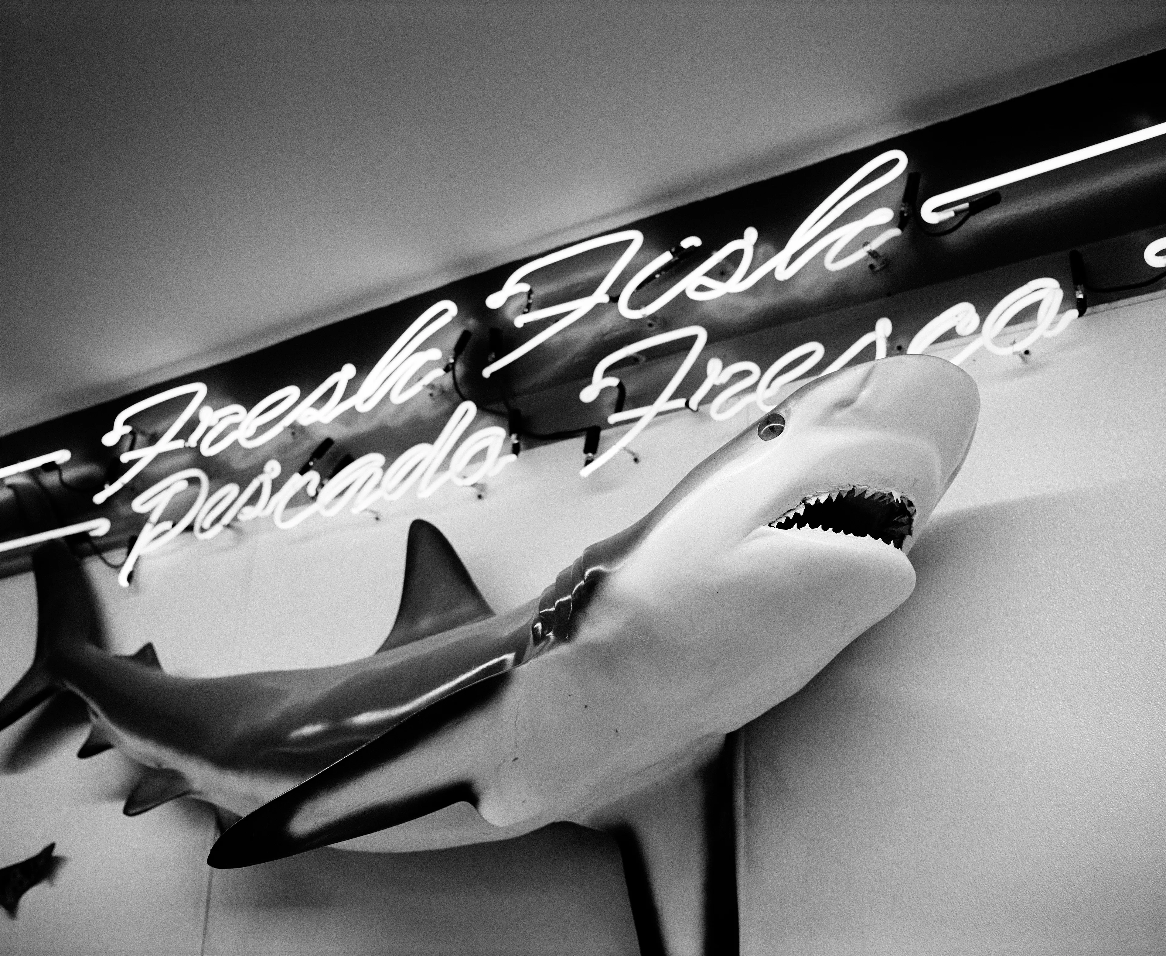 THE VILLAGE #28 SHARK by Deanna Templeton

This project started in 2002. A year after my mother passed away, a few years after my father passed. What I remember was one day I was thinking about my parents and feeling a little bit lonely, a little empty and decided to go for a drive. So I decided to drive out to my grandmother's house in San Pedro, which is about a 45 minute drive from where I live. I just wanted to reminisce, to re-explore the surroundings where I would go when I was a child. The liquor store I would walk to to get a Lipton Ice Tea and a bag of Frito’s, to the bakery where I swore all the cookies didn’t have sugar in them and then I drove over to Ports O’Call Village. As soon as I started to walk around I came across a stage with some Mariachis playing and it just hit me, I felt like I was home, I was with family. Over the next 5 years, whenever I could, I started going out there on the weekends. Getting reacquainted with the village and the locals. To shoot everything I wanted to remember.

Edition: 1 of 1

Commissioned by Obscura\