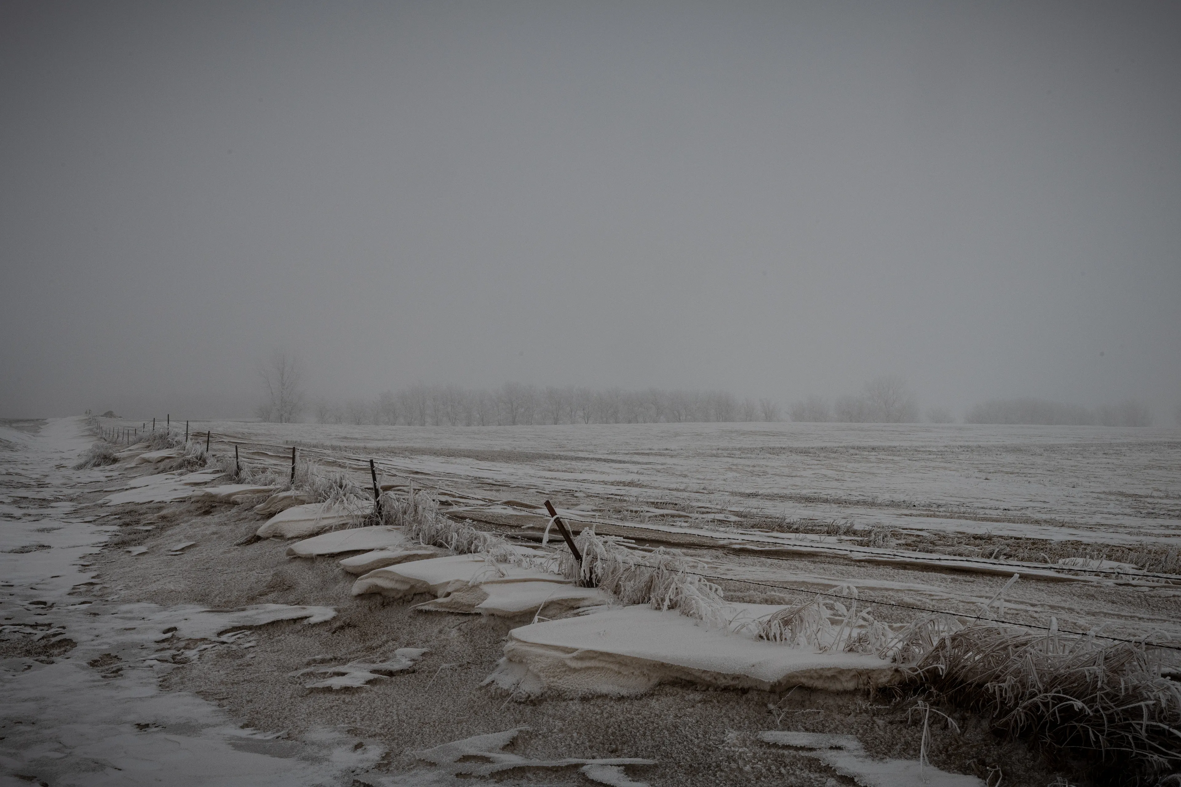 The Black Mechanism #36 (Untitled 12006-4852) by Todd Hido

"This is the gift of the landscape photograph, that the heart finds a place to stand” - Emmet Gowin 

All photographs are unreal. Even though they are a best attempt at a realistic capturing of a space in time, there is so much else that gets pulled into even the most straightforward landscape photo, unique to both the artist and the viewer. A landscape can evoke a personal memory of a certain space, or point toward a historical significance of the place being photographed. Sometimes, it’s just a mood suggested through the way a certain tree branch bends and twists, or an ominous narrative implied by a neglected house. 

With my camera in hand (what Italo Calvino referred to as “the black mechanism”), I have tried to express a subtle disquiet, and suggest an ambient darkness that is as much literal as it is metaphorical. The landscapes show a desolate and dark world, a precipice in time from which one senses we will struggle to emerge. Yet even as these images can be seen to reflect the daily barrage of terrible news, it’s important to remember that each image captures light from within. There is always a ray of light, even a frail one, to illuminate the dark roads, the deep forests, and the icy territories. There is always hope.

Todd Hido


Edition: 1 of 1

Commissioned by Obscura