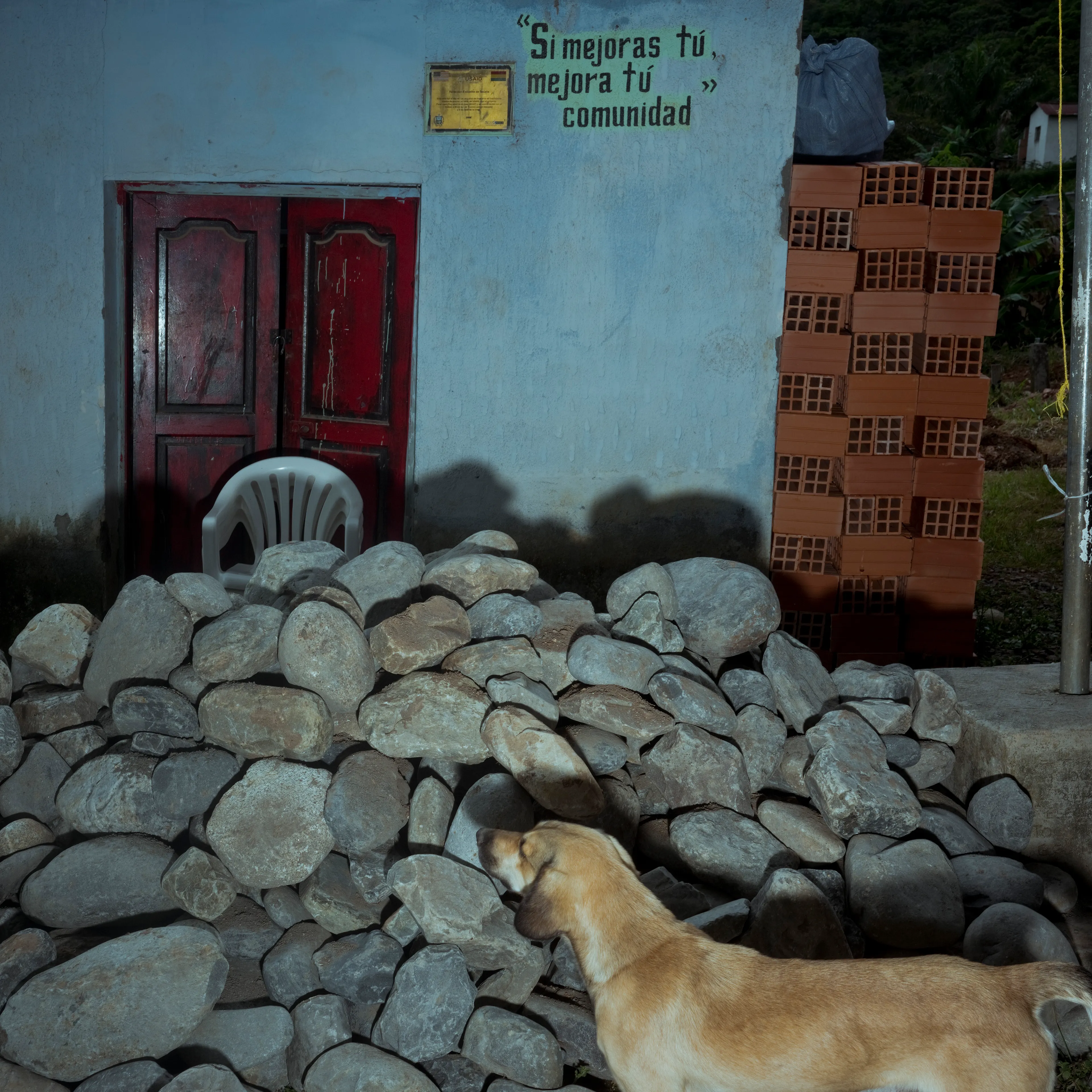 The Royal Pinedo #22 by Cristina de Middel

In the tropical region of Los Yungas in Bolivia, surrounded by coca plantations, Cristina De Middel has encountered the story of a King. His name is Julio Pinedo. Julio is a descendant of prince Uchicho, the King of the Kikongo tribe that arrived from the Congo in 1820. This collection will document the daily life of a quite unusual king, recognizing his legacy and the oral tradition that remains after 3 generations. The story will show how this legacy plays out within the the current problematic coca industry in the country, which is still one of Bolivia's biggest agricultural productions.

Edition: 1 of 1

Commissioned by Obscura