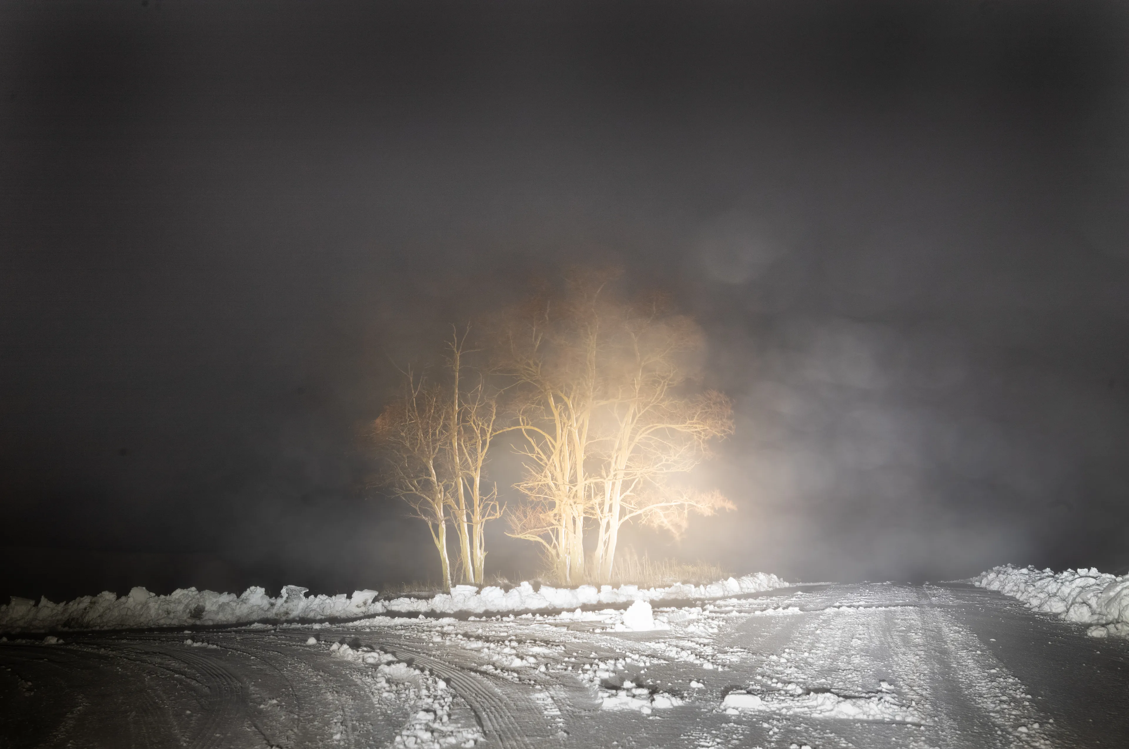 The Black Mechanism #42 (Untitled 12044-4795) by Todd Hido

"This is the gift of the landscape photograph, that the heart finds a place to stand” - Emmet Gowin 

All photographs are unreal. Even though they are a best attempt at a realistic capturing of a space in time, there is so much else that gets pulled into even the most straightforward landscape photo, unique to both the artist and the viewer. A landscape can evoke a personal memory of a certain space, or point toward a historical significance of the place being photographed. Sometimes, it’s just a mood suggested through the way a certain tree branch bends and twists, or an ominous narrative implied by a neglected house. 

With my camera in hand (what Italo Calvino referred to as “the black mechanism”), I have tried to express a subtle disquiet, and suggest an ambient darkness that is as much literal as it is metaphorical. The landscapes show a desolate and dark world, a precipice in time from which one senses we will struggle to emerge. Yet even as these images can be seen to reflect the daily barrage of terrible news, it’s important to remember that each image captures light from within. There is always a ray of light, even a frail one, to illuminate the dark roads, the deep forests, and the icy territories. There is always hope.

Todd Hido


Edition: 1 of 1

Commissioned by Obscura