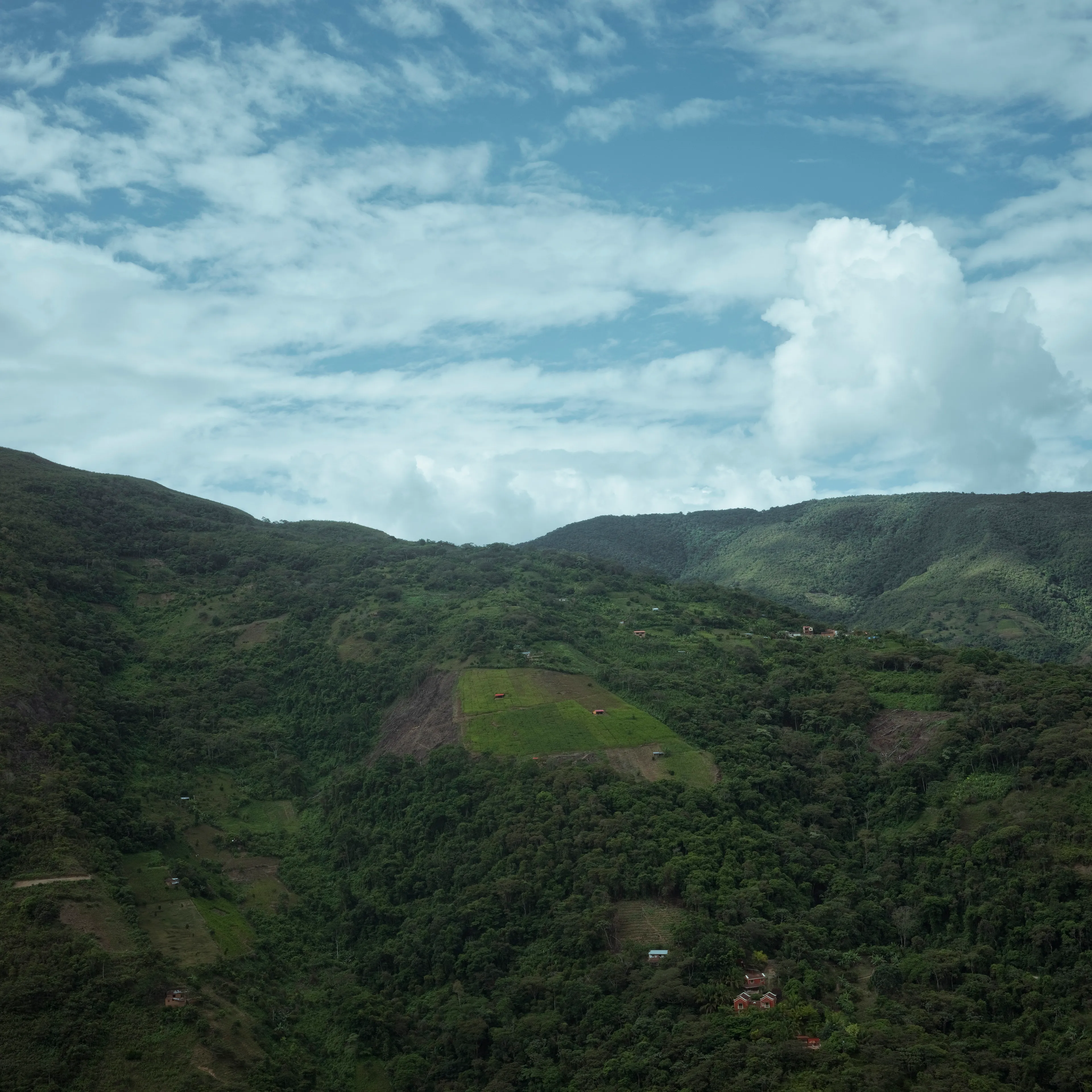 The Royal Pinedo #1 by Cristina de Middel

In the tropical region of Los Yungas in Bolivia, surrounded by coca plantations, Cristina De Middel has encountered the story of a King. His name is Julio Pinedo. Julio is a descendant of prince Uchicho, the King of the Kikongo tribe that arrived from the Congo in 1820. This collection will document the daily life of a quite unusual king, recognizing his legacy and the oral tradition that remains after 3 generations. The story will show how this legacy plays out within the the current problematic coca industry in the country, which is still one of Bolivia's biggest agricultural productions.

Edition: 1 of 1

Commissioned by Obscura