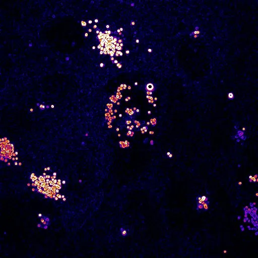 In collaboration with Alice Meunier, biologist. 

Has the dispersion of information superseded human consciousness at the center of our evolution? 

Exploring this theory, i thought interesting to wonder which biological mechanism snap our choices and decisions process. 

{Centriole} is a plunge into another dimension. A bottomless space where one travels between constellations of centrioles. Each cell is at a different stage of its metamorphosis. Some progress through a slow and barely visible process, while others have reached a quick, intense and explosive phase. Like the galaxies, some are contracting, others are expanding. By exploring the cell, we penetrate into our own mysteries. 

Biological generative art lives within us: centrioles are scattered, within the cell, surrounding the nucleus that shelters its DNA. Around a world, its world, our world. Reality is not interpreted, it is visualized: a collective motion brimming with distinction and dynamism. The centrioles flow like pixelated stars orchestrated in time and space. Their singularities arise. The invisible is unveiled, alive. 

Spining disk videomicroscopy 
A pixel is 2/10000 of millimeters in our brain. 
One second represents 80mn of the cell dynamics 
Sound by Agoria. 
Film mp4 based on works by Alice Meunier, research director, IBENS, CNRS.