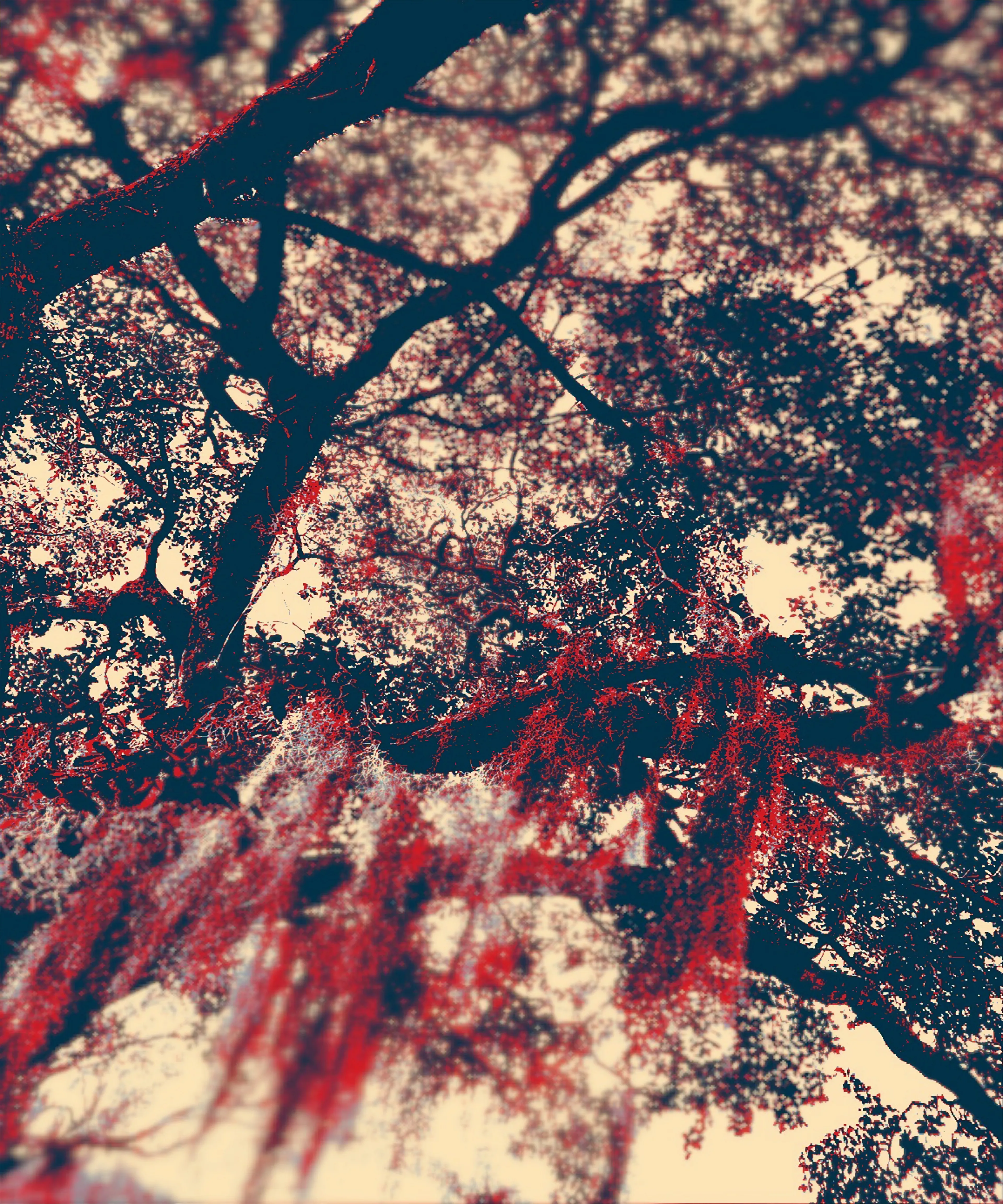 I have captured a profound photograph of a majestic weeping willow tree standing tall in the cemetery where my beloved grandfather rests eternally. He held an irreplaceable place in my heart and was the ultimate source of inspiration in my life. This image is not just a mere snapshot; it is a masterpiece that encapsulates the essence of my emotions and admiration for him. I sincerely hope that when you look at it, you too can sense the depth of its significance and feel the profound connection that resides within.The willow tree carries a powerful message, urging us to embrace the fluidity of our reality, to surrender ourselves more fully. In this surrender, a profound transformation occurs, as we witness our own healing and growth, evolving into a wiser, braver, and more resilient soul. The willow's gentle sway teaches us the beauty and strength found in adaptability, reminding us that by embracing change, we unlock the full potential of our being.