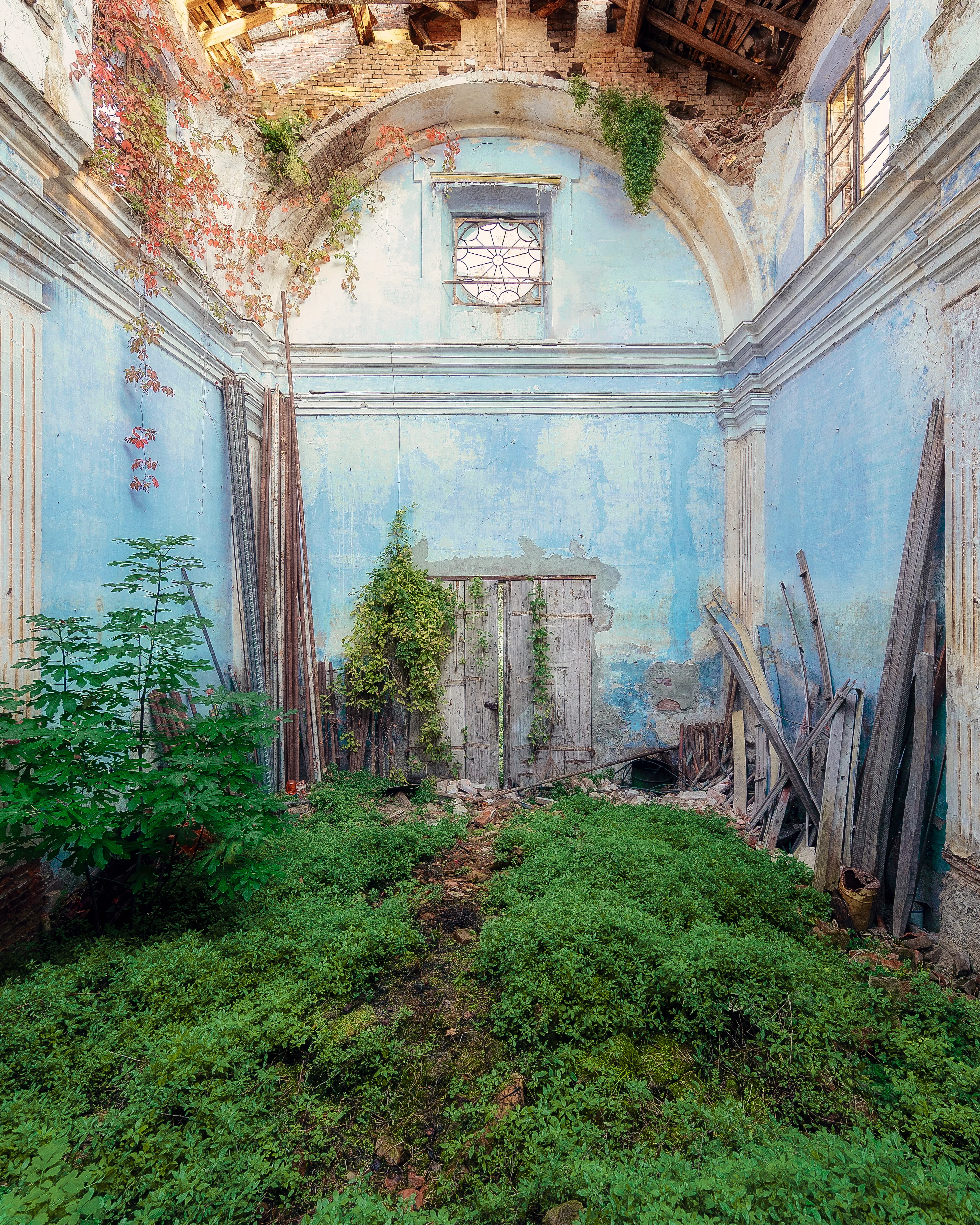 At the edge of an old cemetery you can see a tower sticking out of a huge bush. When I made my way through the branches, I found a door that could still be opened a crack so that I fit through.

Inside the church has formed its own little paradise. Small mounds of grass, ivy and wild vine, slowly climbing the sky-blue walls. Also some birds have settled in the wall niches and I listen to their chirping while I enjoy this small secret idyll.