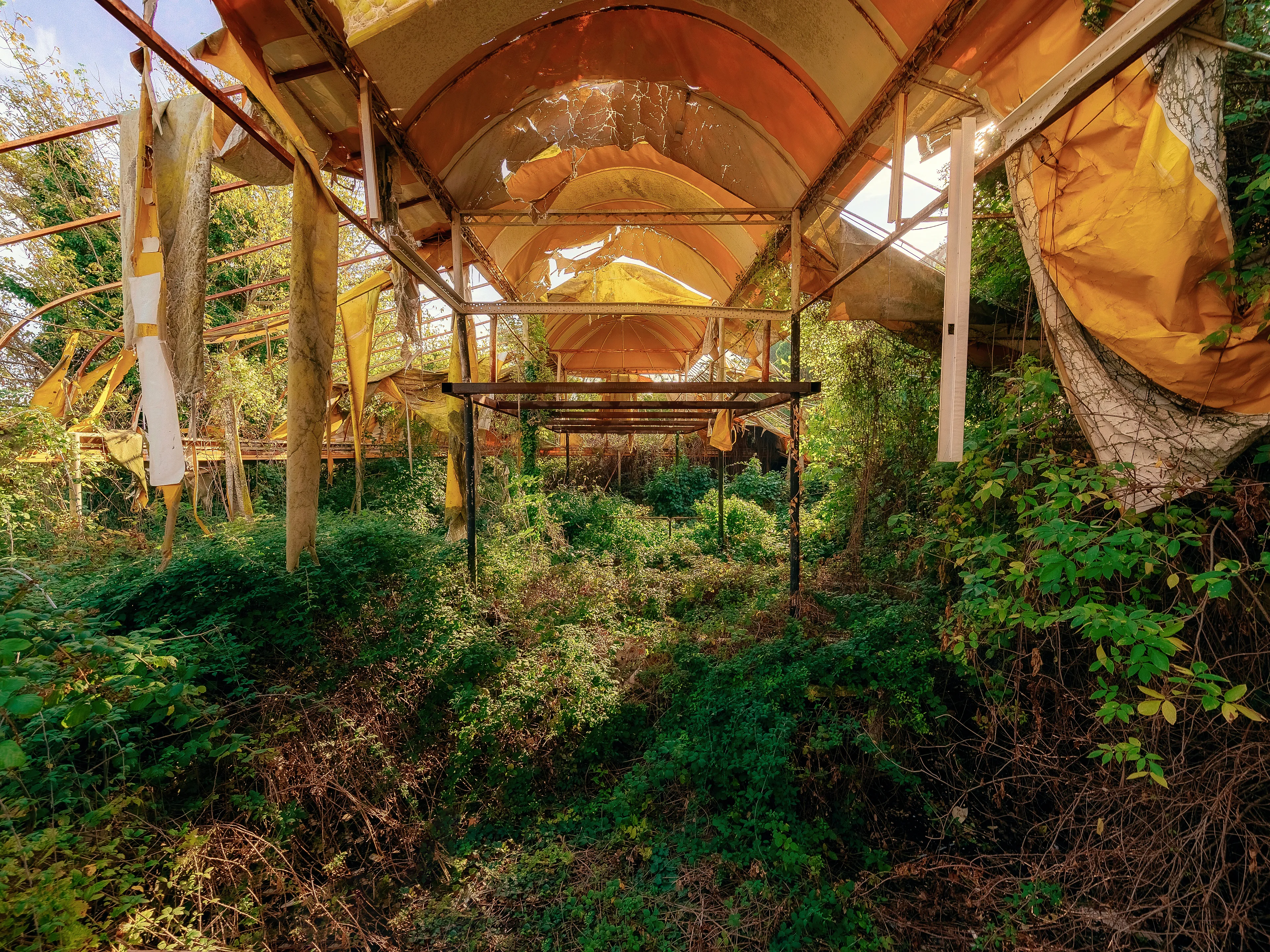 The Melody Mecca discotheque in Rimini was once one of the most legendary Afro clubs in Europe. Even almost 20 years after its closure, tribute parties are still held.  

Today, instead of Afro music, jungle is on. Presented by DJ Mother Nature