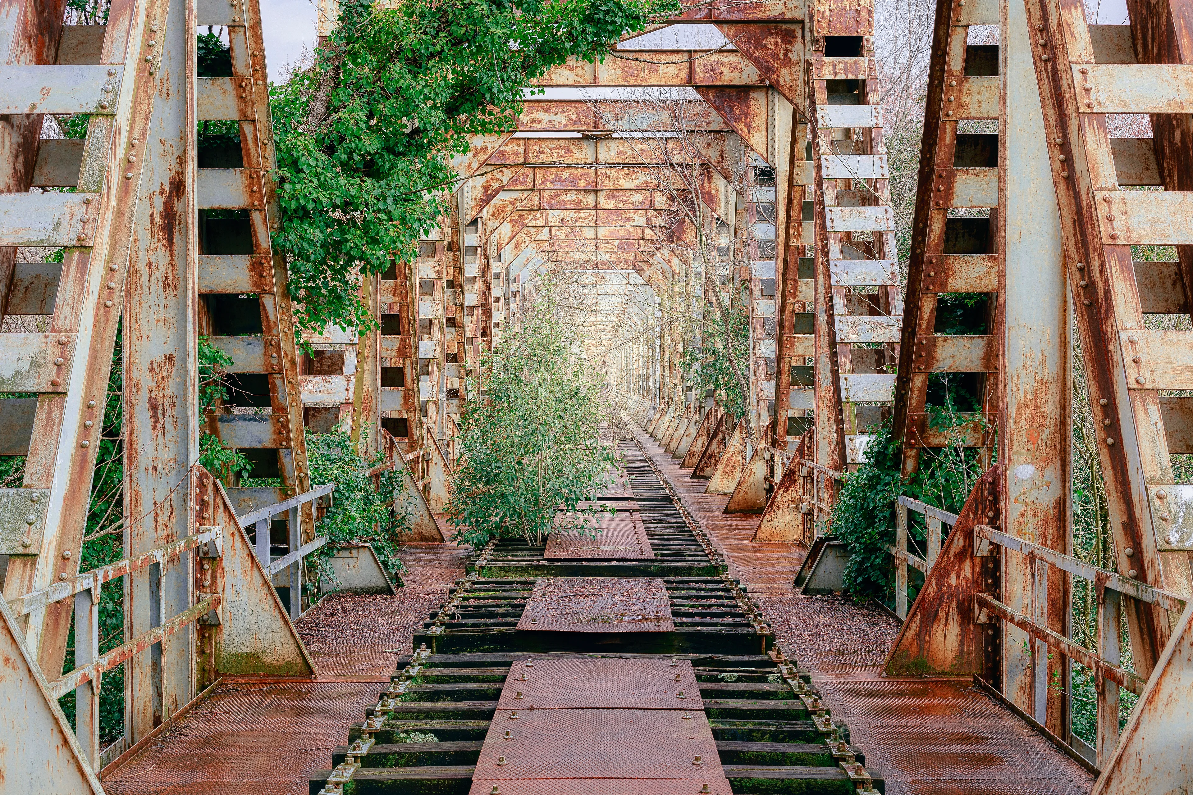 An old railroad bridge that crosses the largest river in Italy.

What fascinates me about these structures is the symmetry and the length. And although they are 90 percent steel, nature finds a home in the remaining 10 percent. A fascinating sight