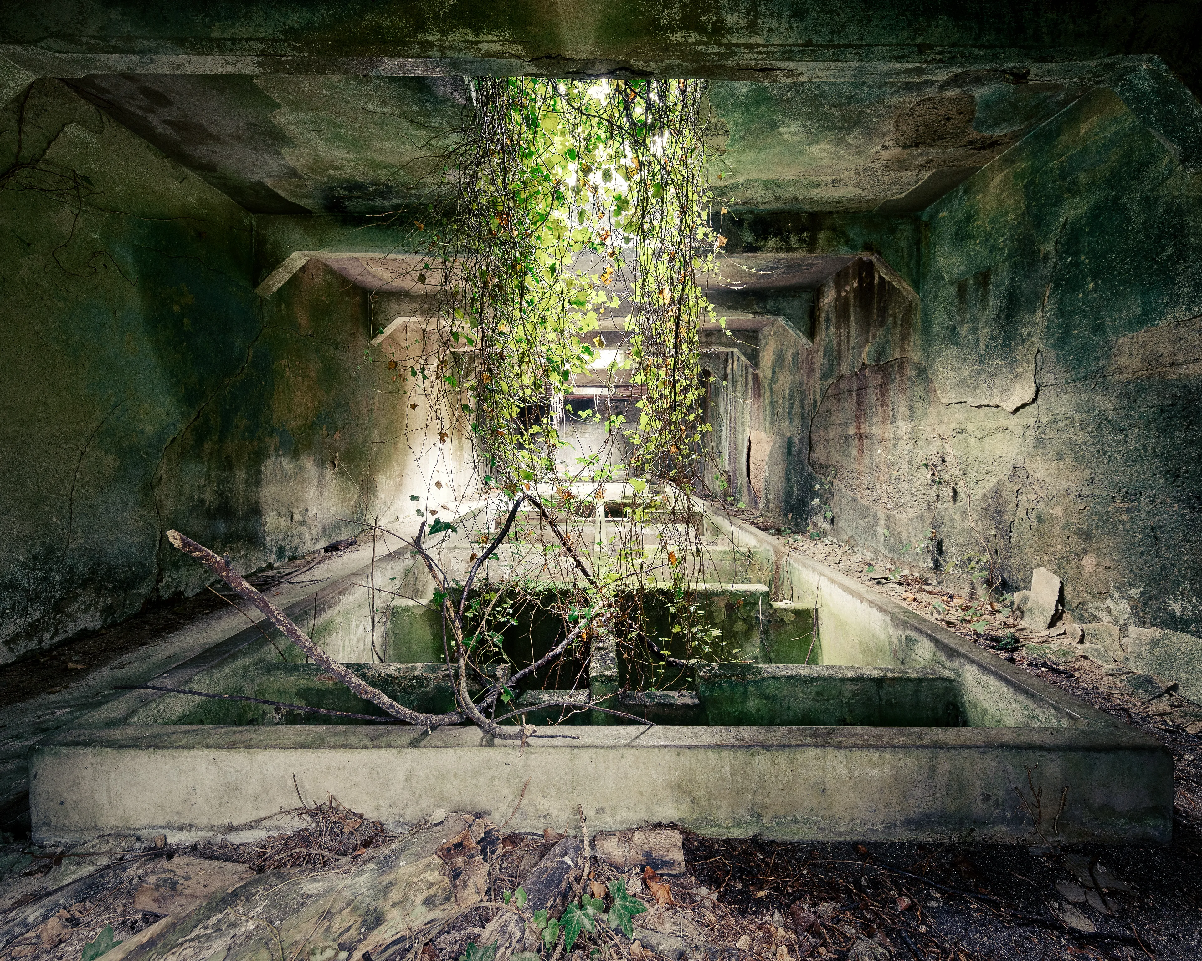 Actually, here we were just on our way to the main part of the old dynamite factory, where there is supposed to be an old avenue that I really wanted to photograph. Suddenly, however, a monsoon-like rain set in and we sought shelter in a structure in the woods similar to a bunker. 

And again confirmed here for me, the book should not judge by its cover. In nice weather I would not have even looked here, but so I discovered this underground beauty of concrete, moss and ivy, with the most diverse shades of green
